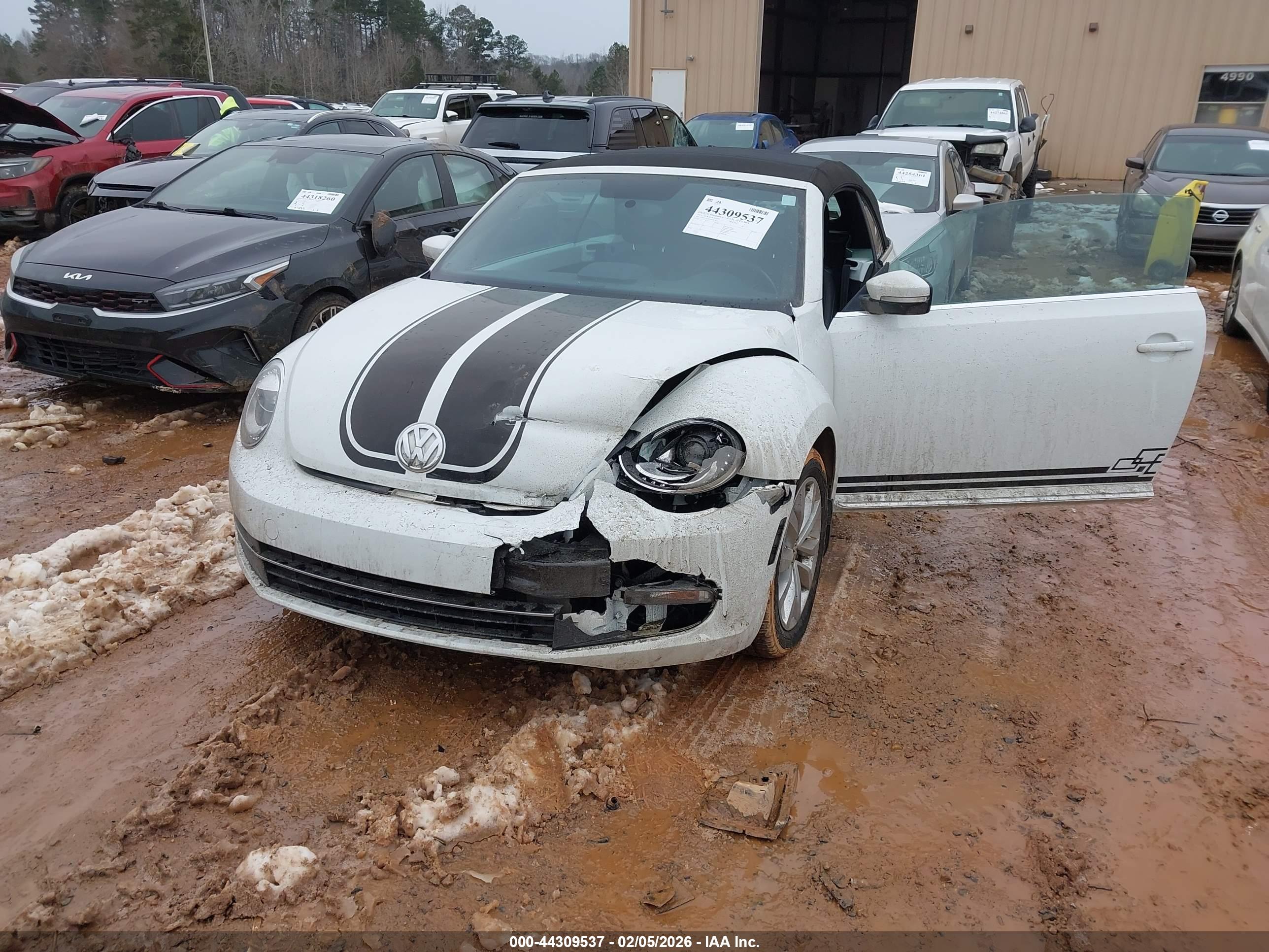 VOLKSWAGEN BEETLE image 6