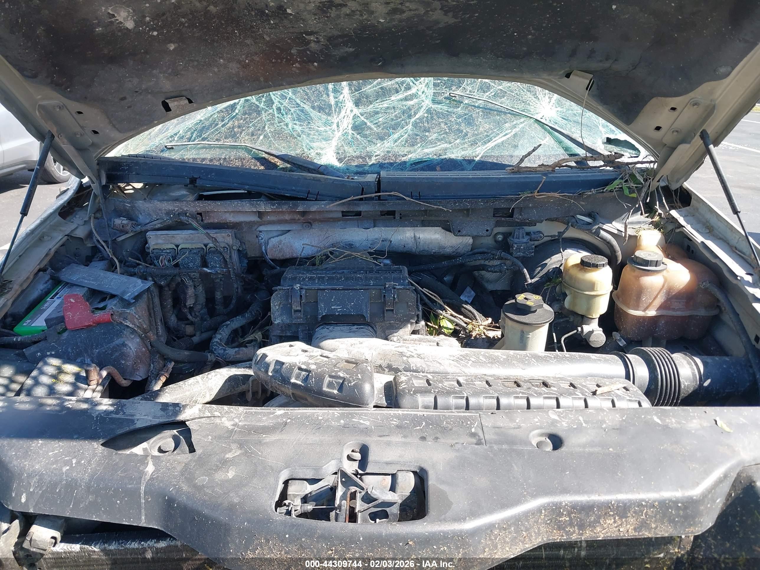 FORD F-150 image 10