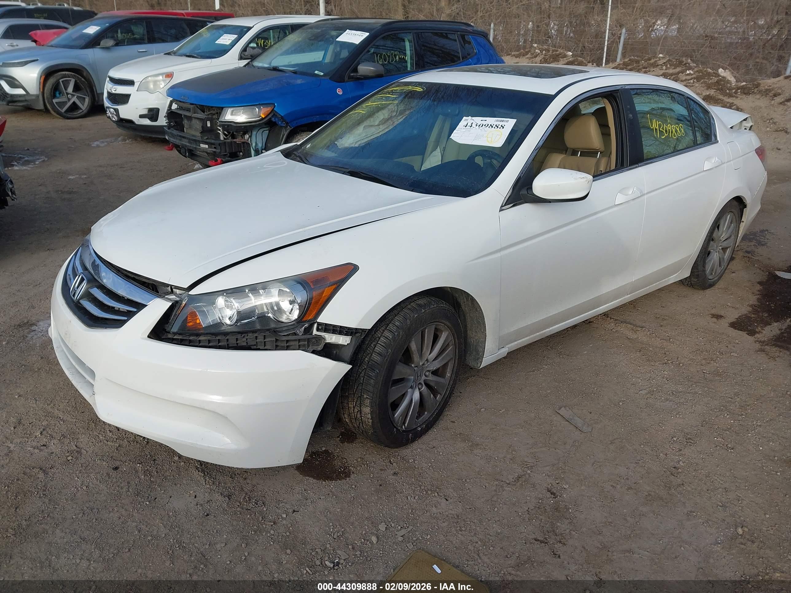 HONDA ACCORD image 2