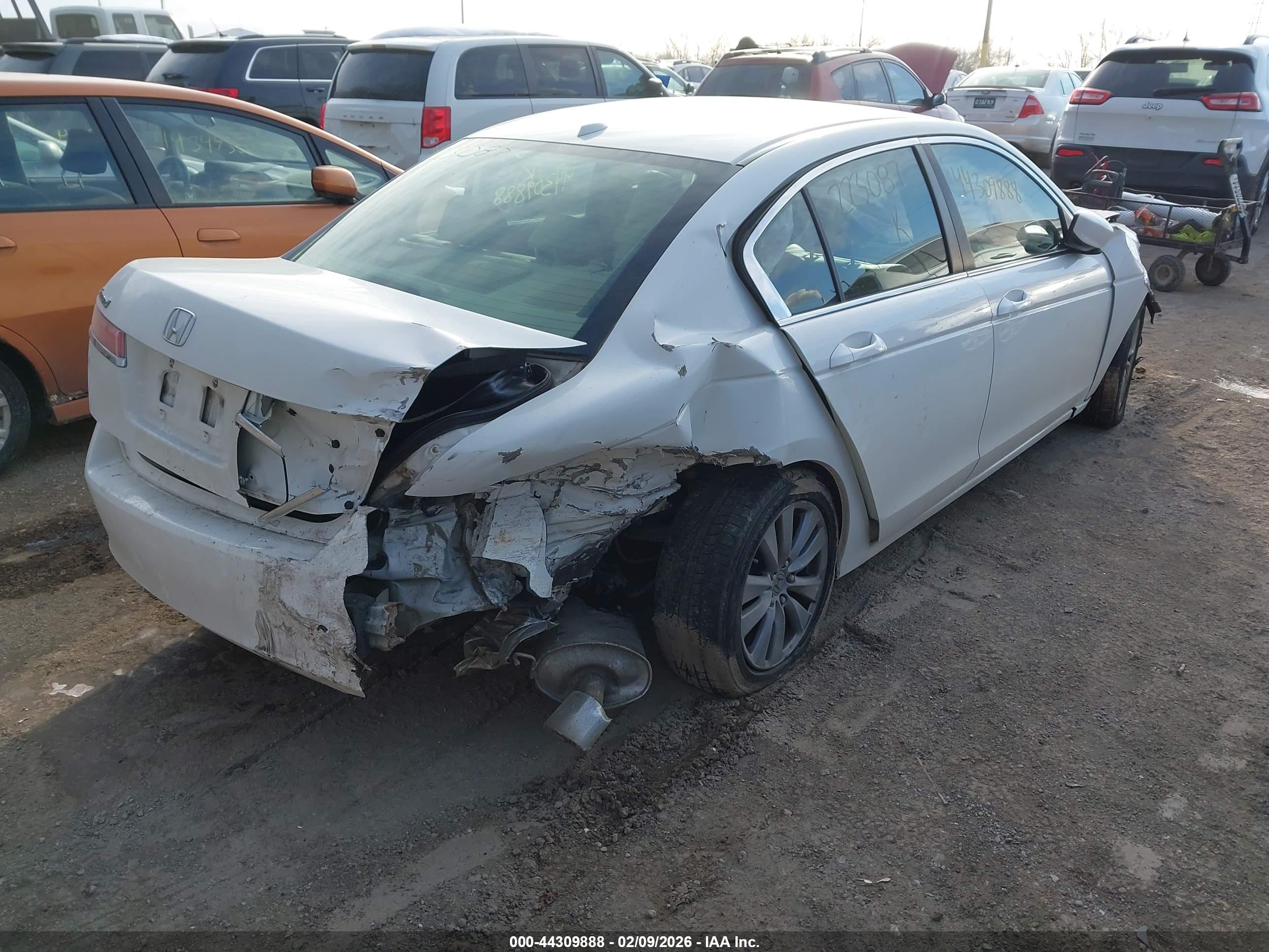 HONDA ACCORD image 4