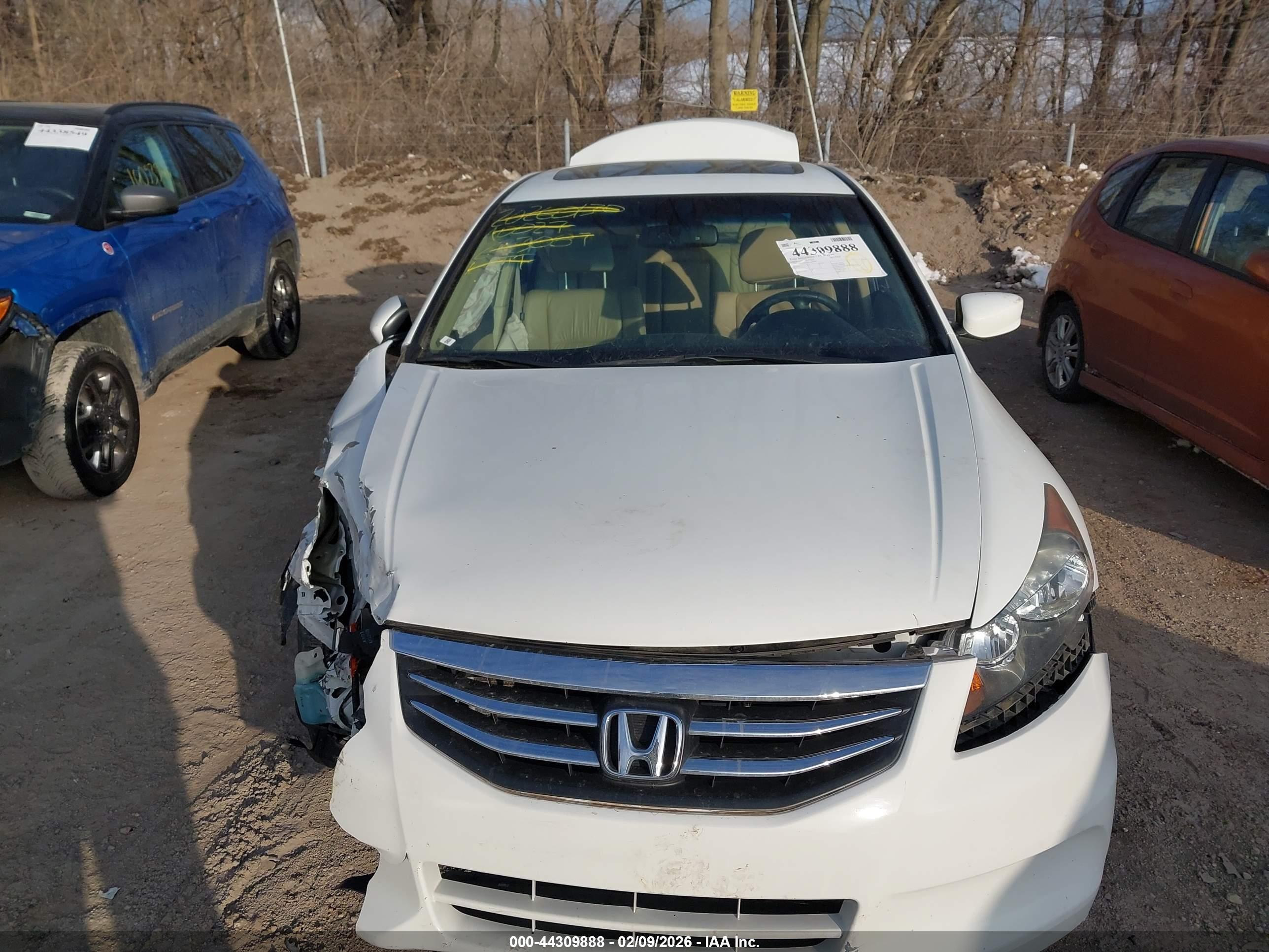 HONDA ACCORD image 6