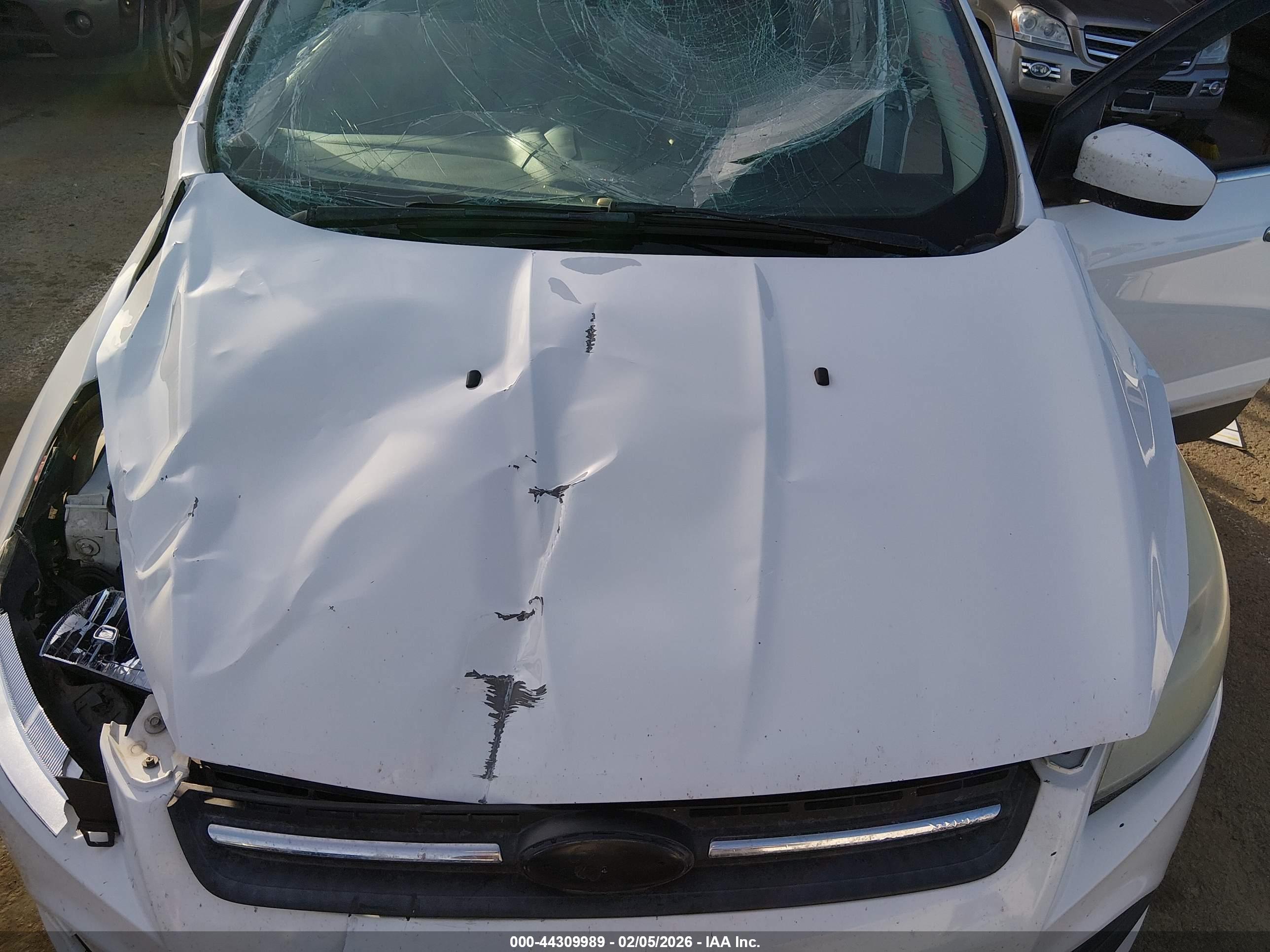 FORD ESCAPE image 10