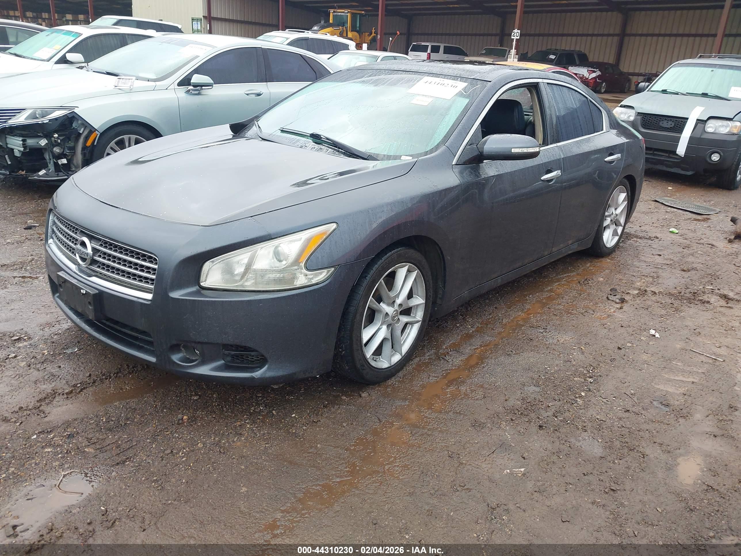 NISSAN MAXIMA image 2