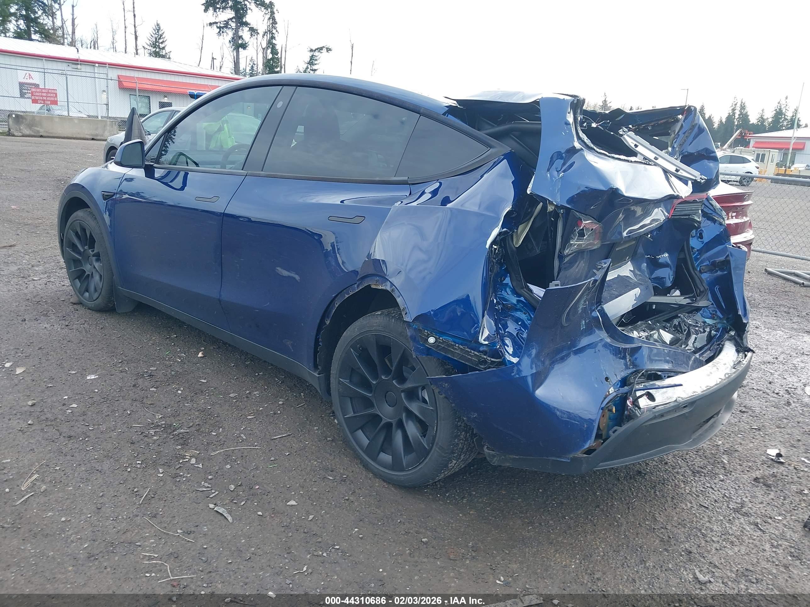TESLA MODEL image 3