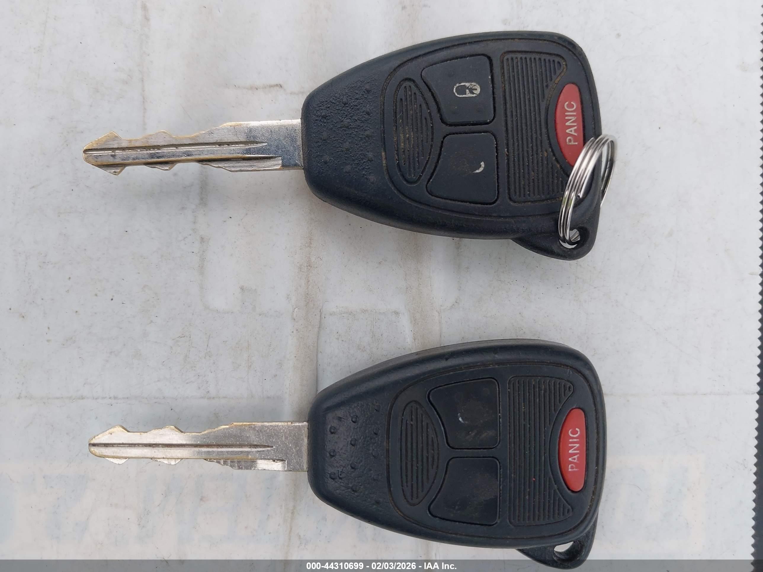 JEEP WRANGLER image 11