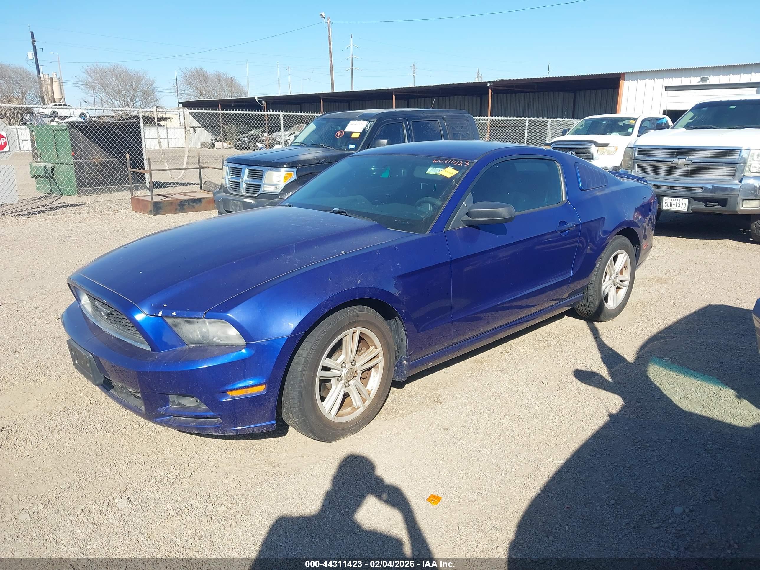 FORD MUSTANG image 2