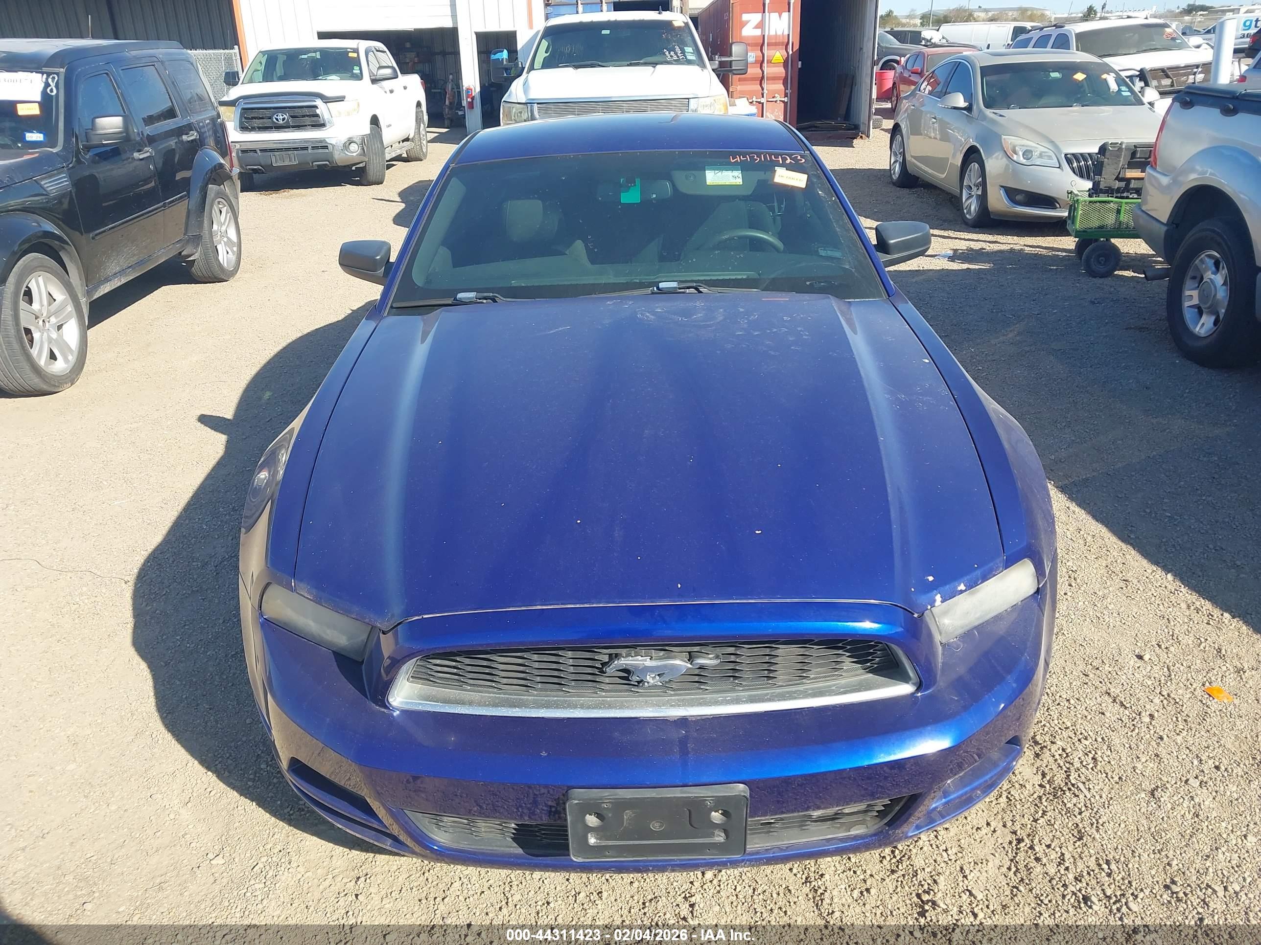 FORD MUSTANG image 6