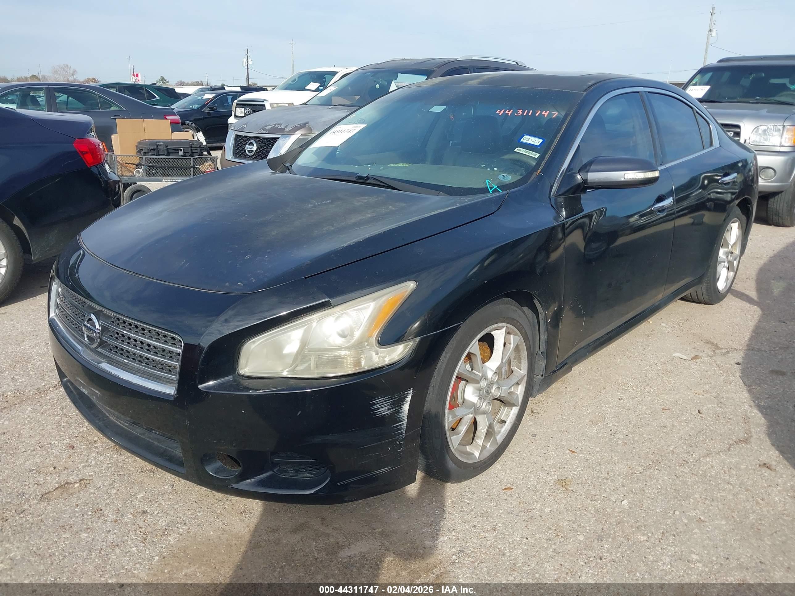 NISSAN MAXIMA image 2