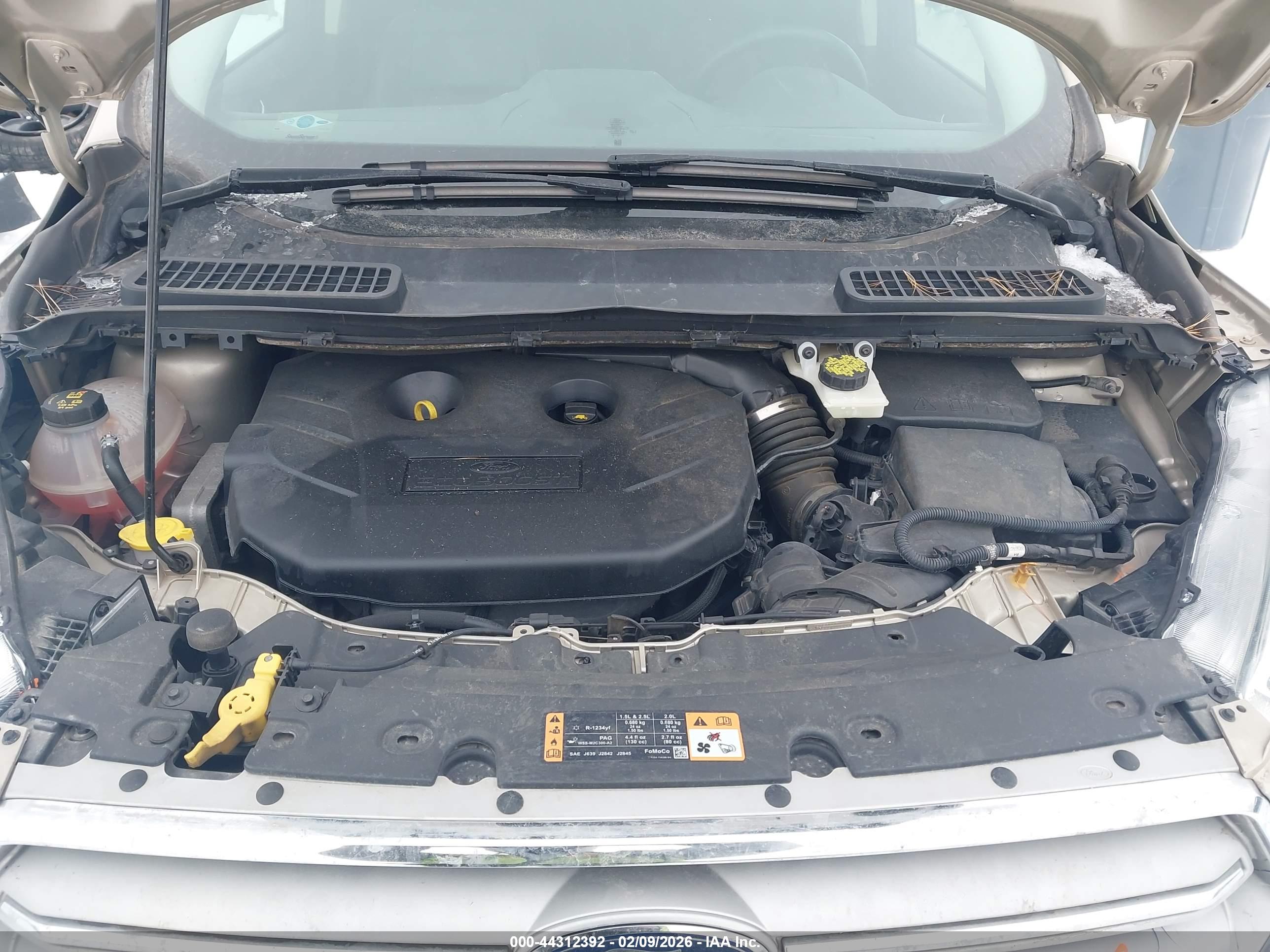 FORD ESCAPE image 10