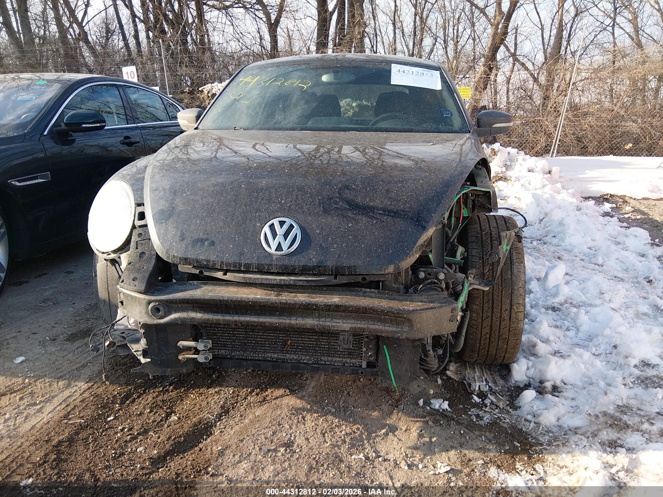 VOLKSWAGEN BEETLE image 6