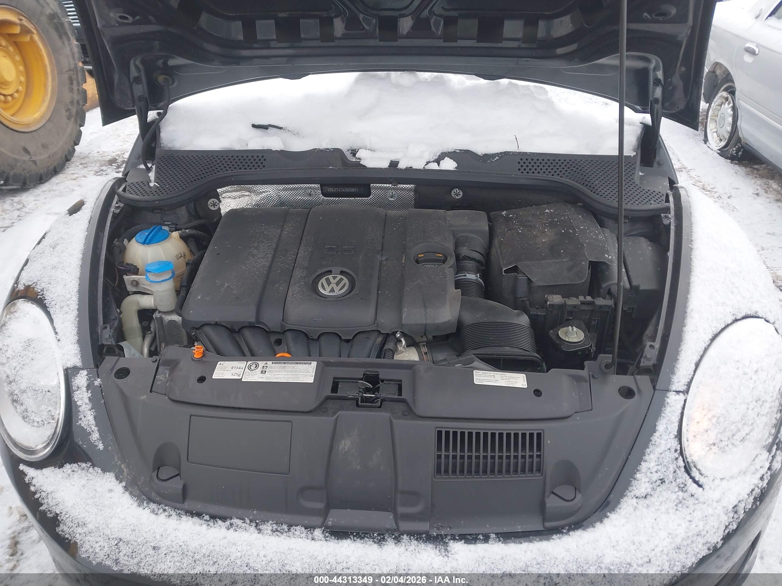 VOLKSWAGEN BEETLE image 10