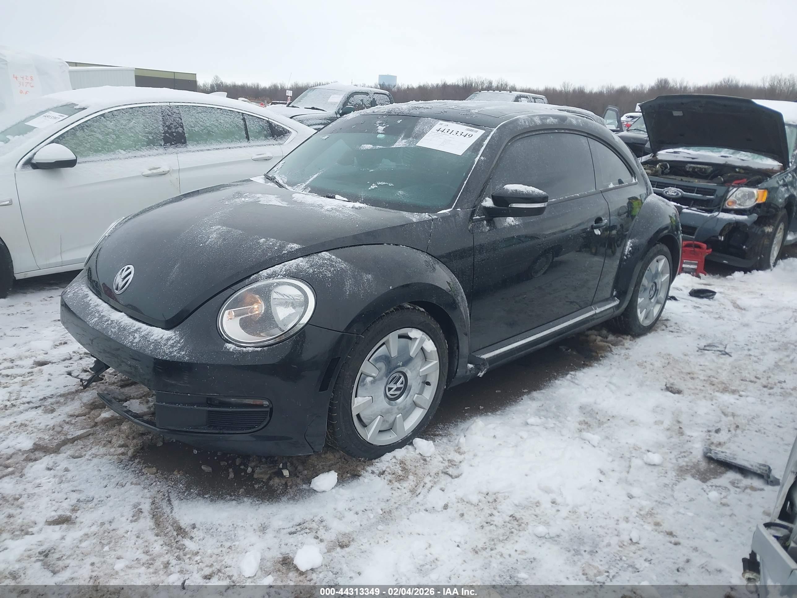 VOLKSWAGEN BEETLE image 2