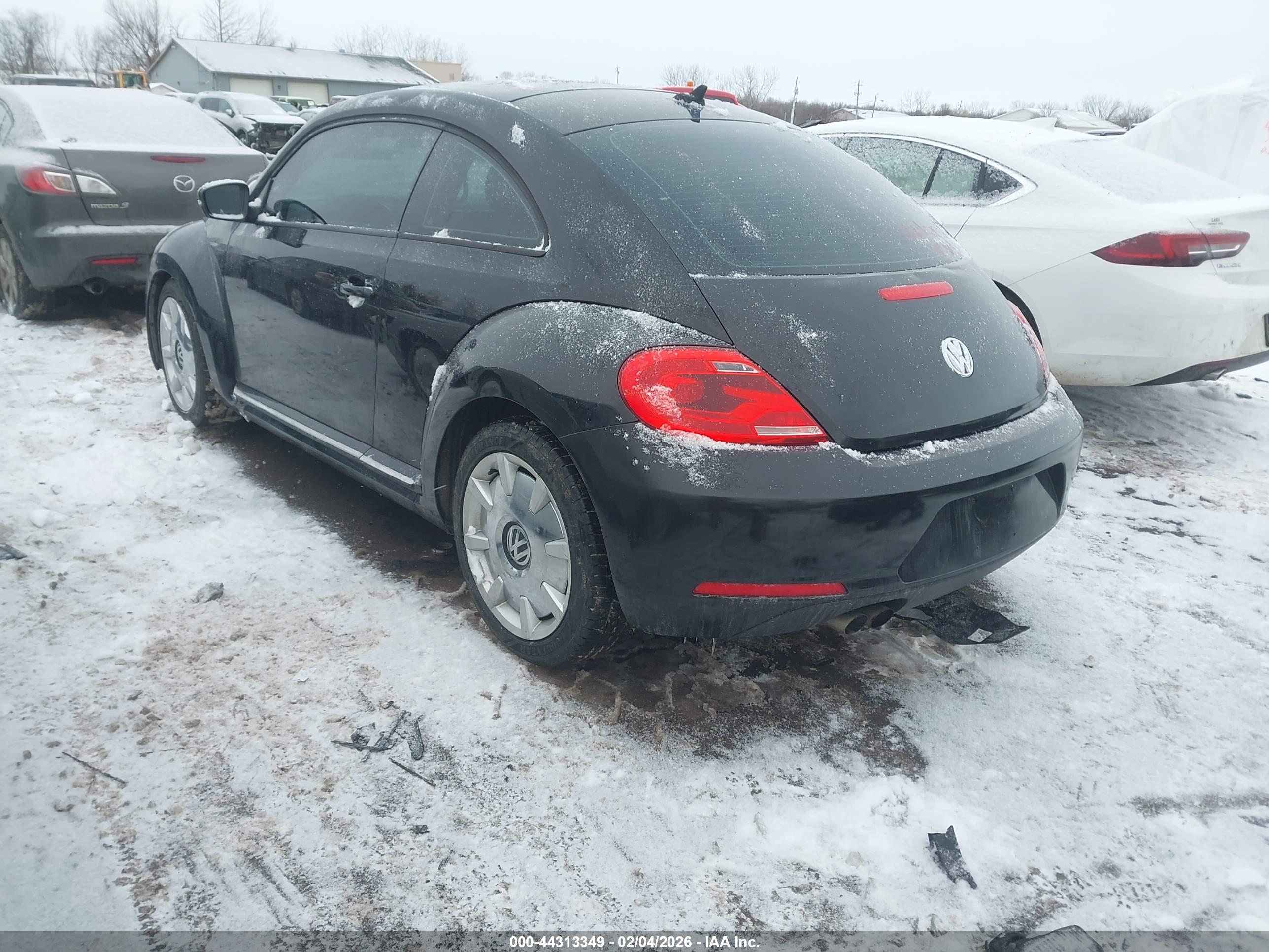 VOLKSWAGEN BEETLE image 3