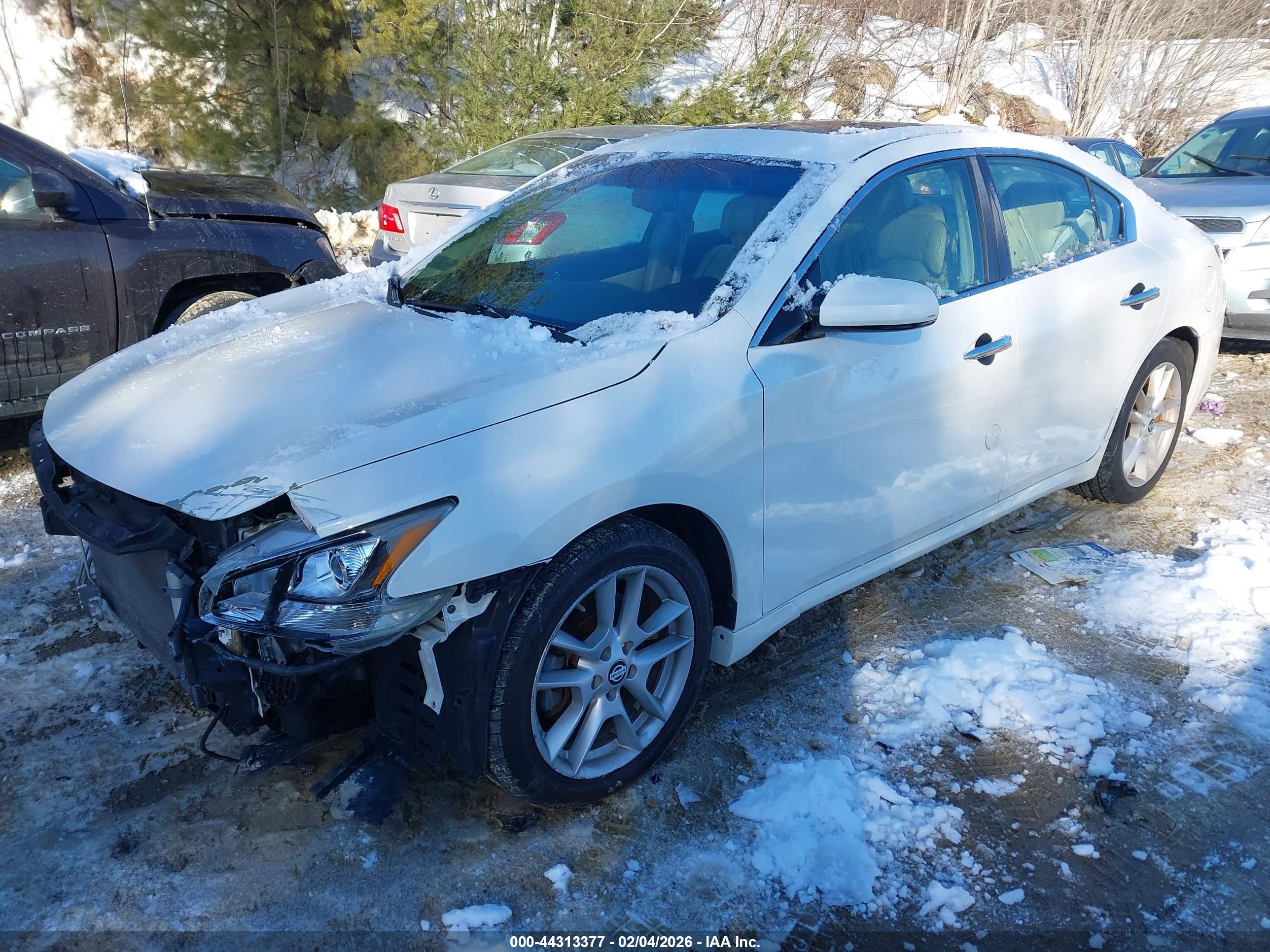 NISSAN MAXIMA image 2