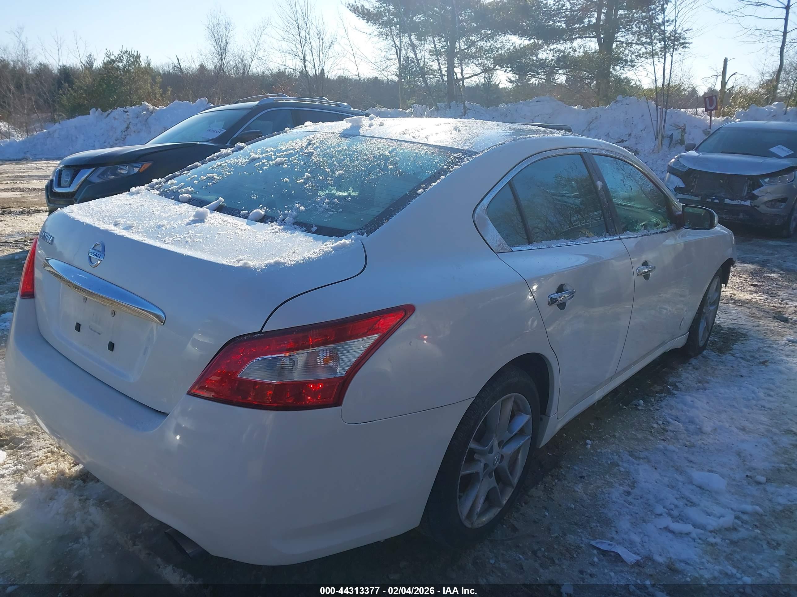 NISSAN MAXIMA image 4
