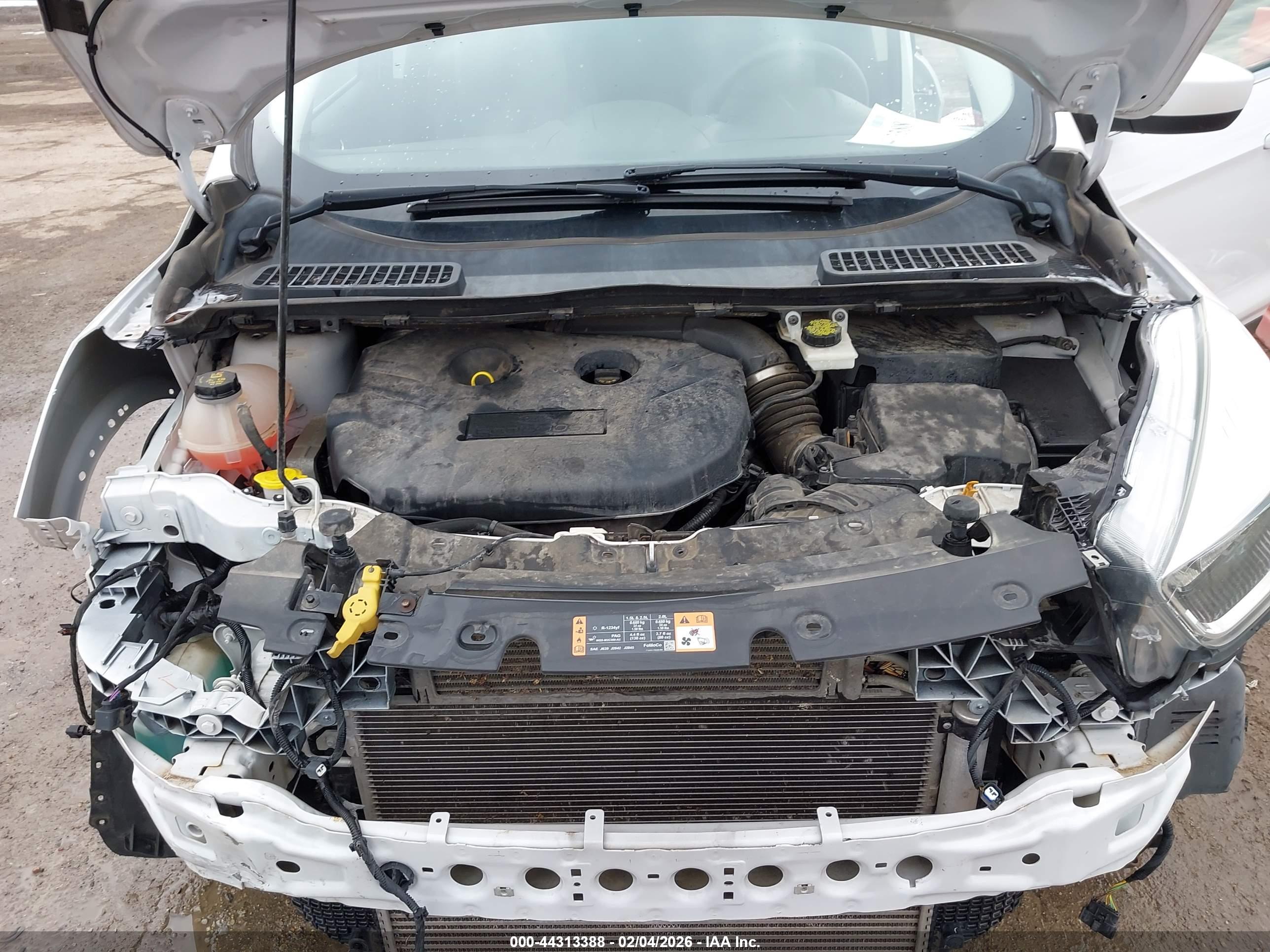 FORD ESCAPE image 10
