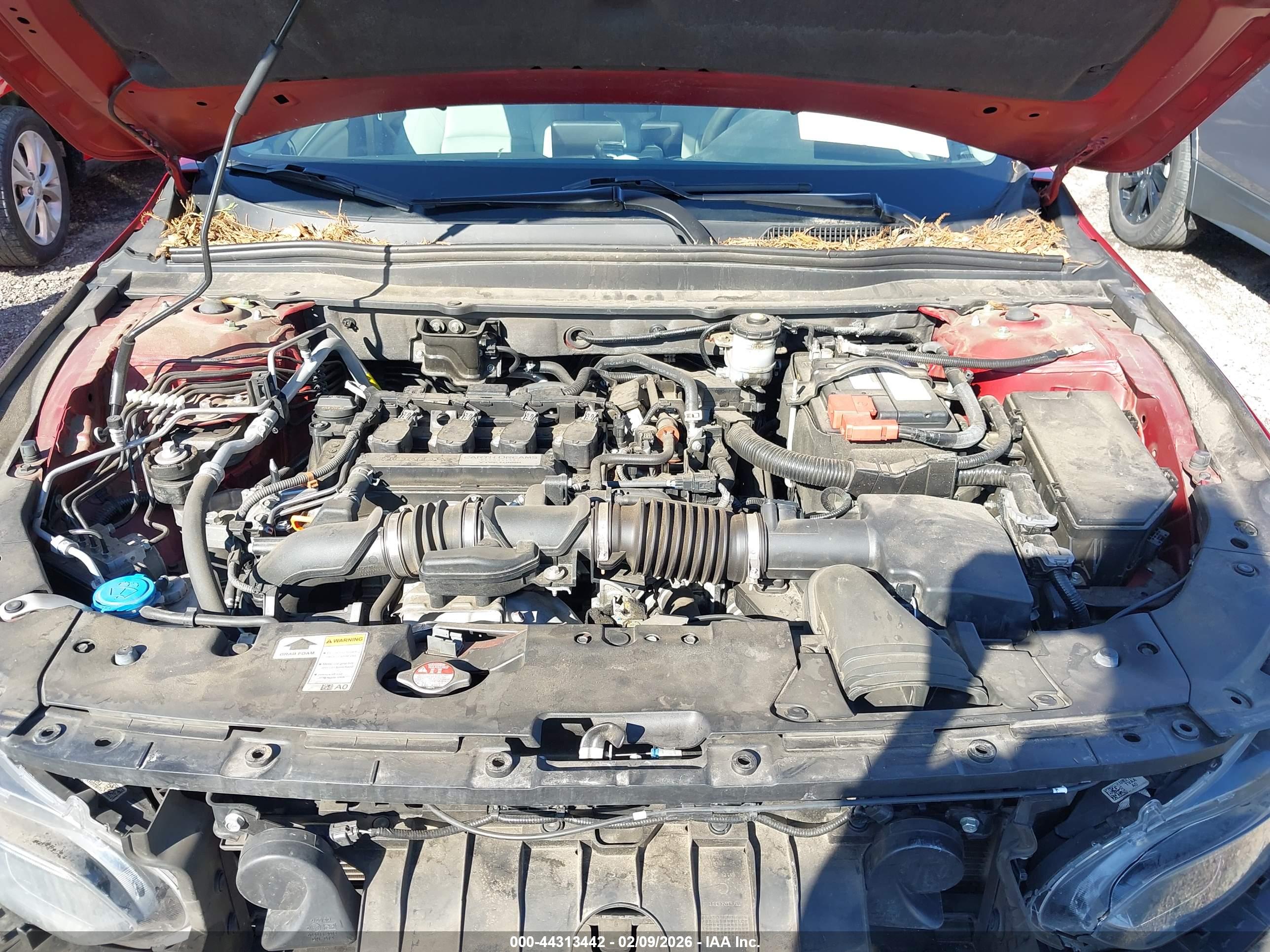 HONDA ACCORD image 10