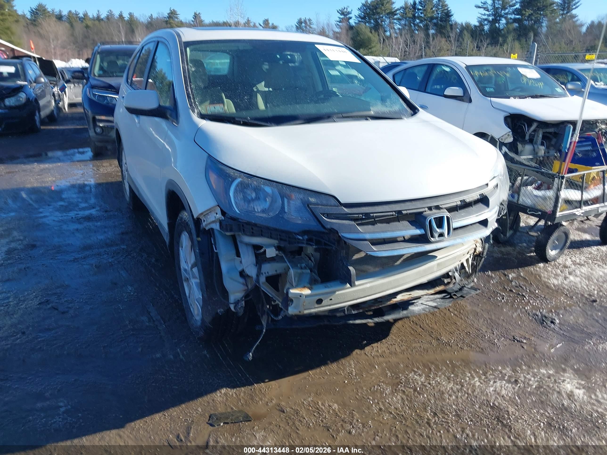 HONDA CR-V image 6