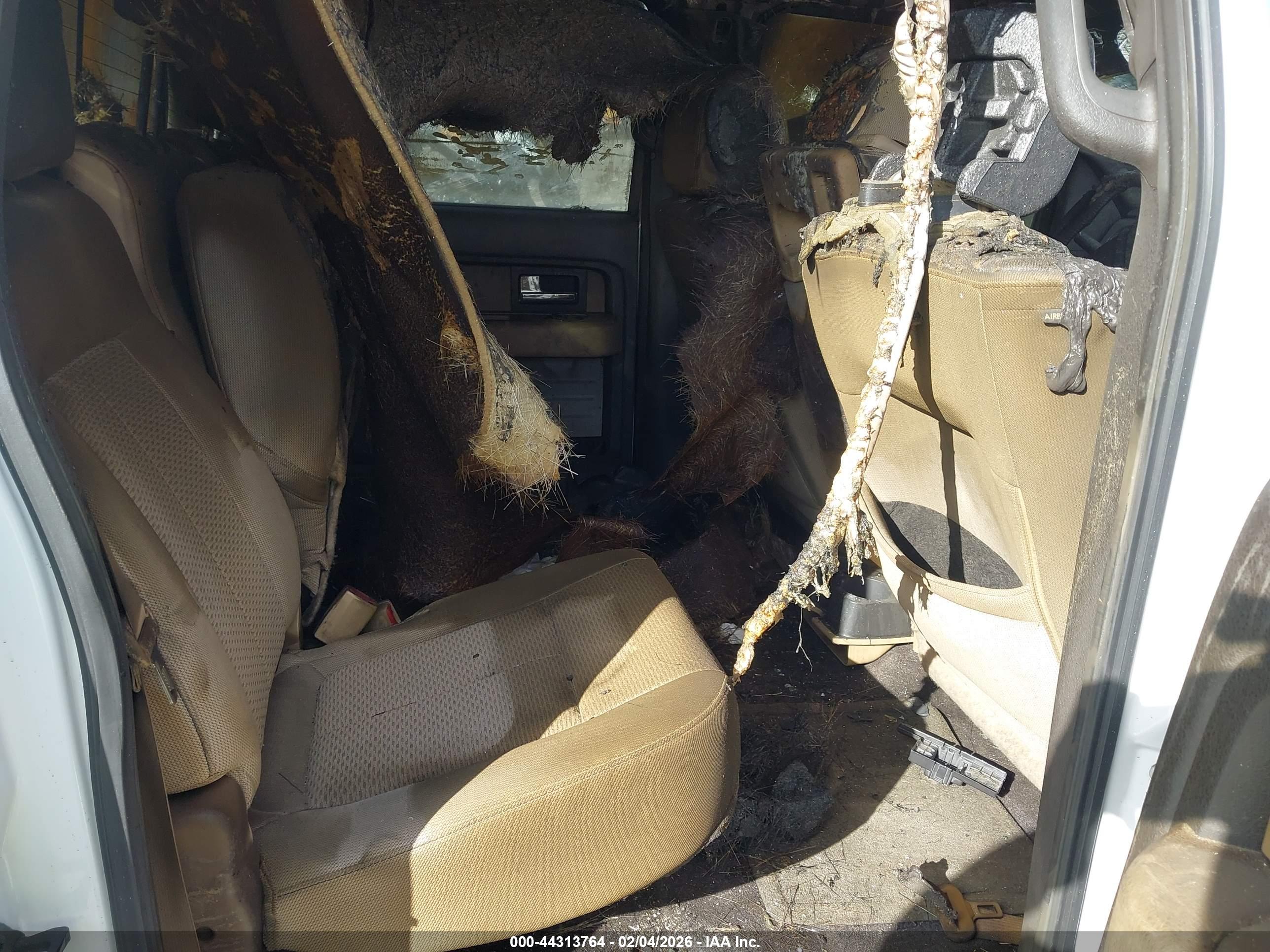 FORD F-150 image 8