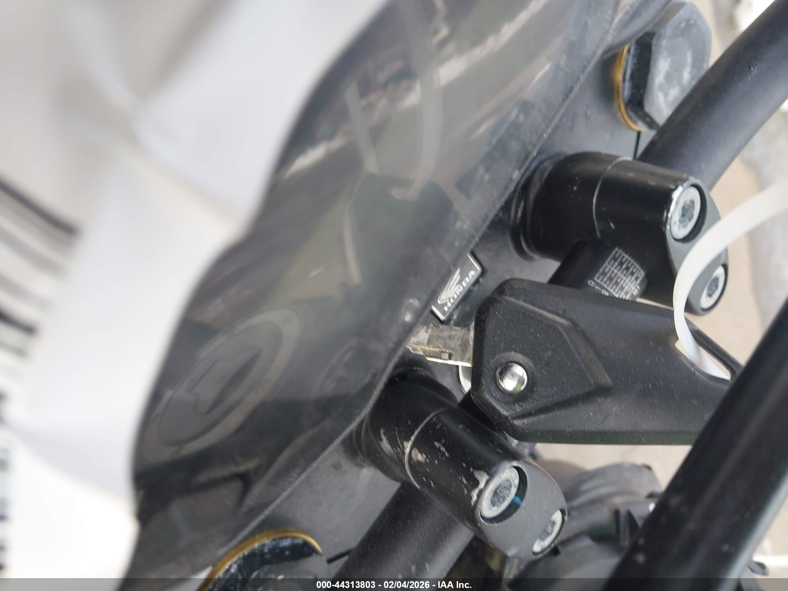 HONDA GROM image 11