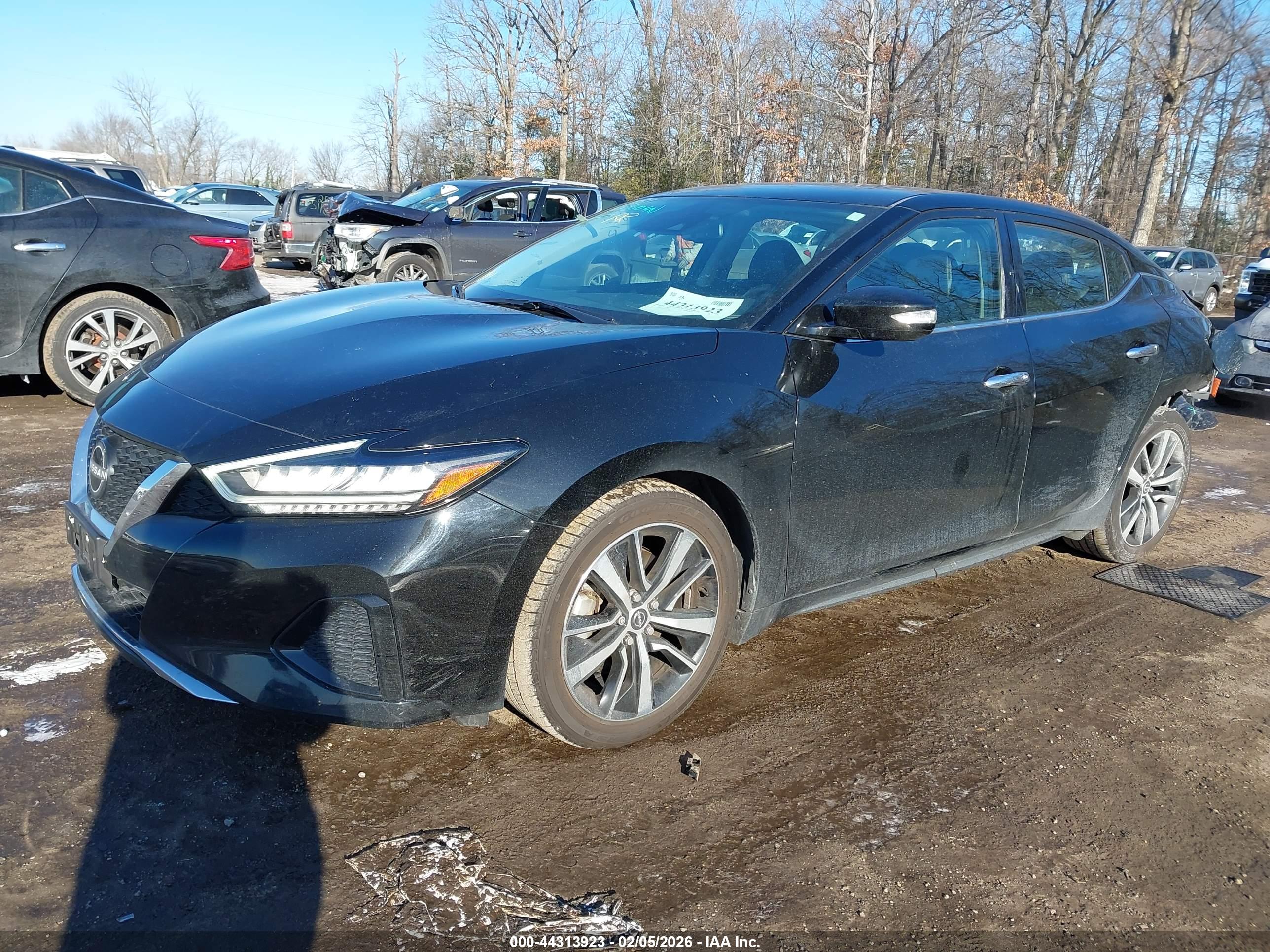 NISSAN MAXIMA image 2