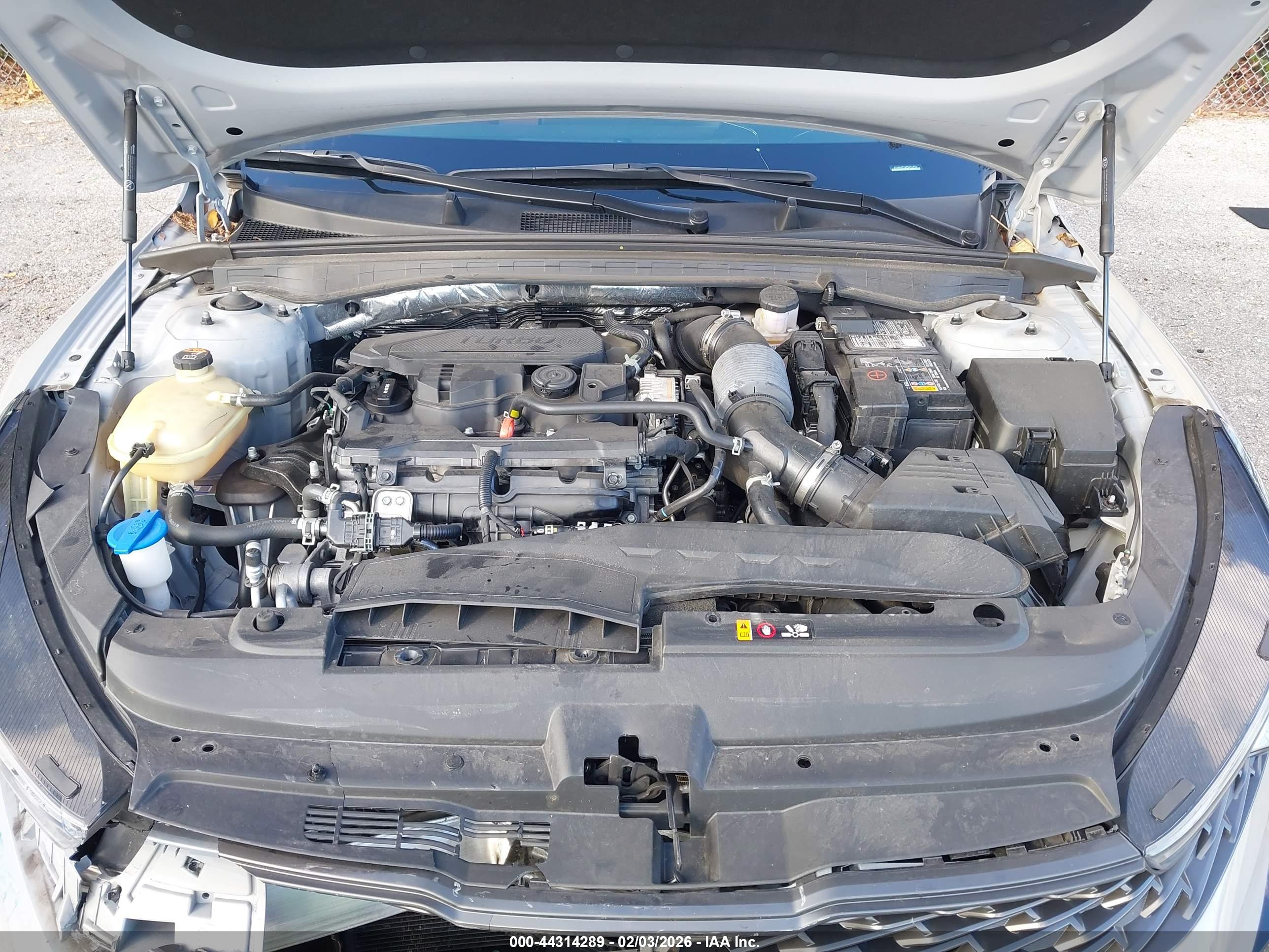 KIA K5 image 10