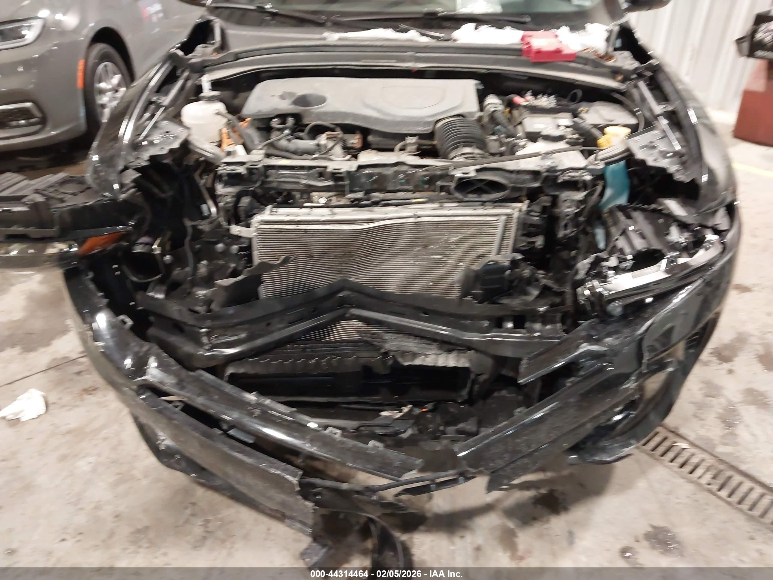 DODGE HORNET image 6