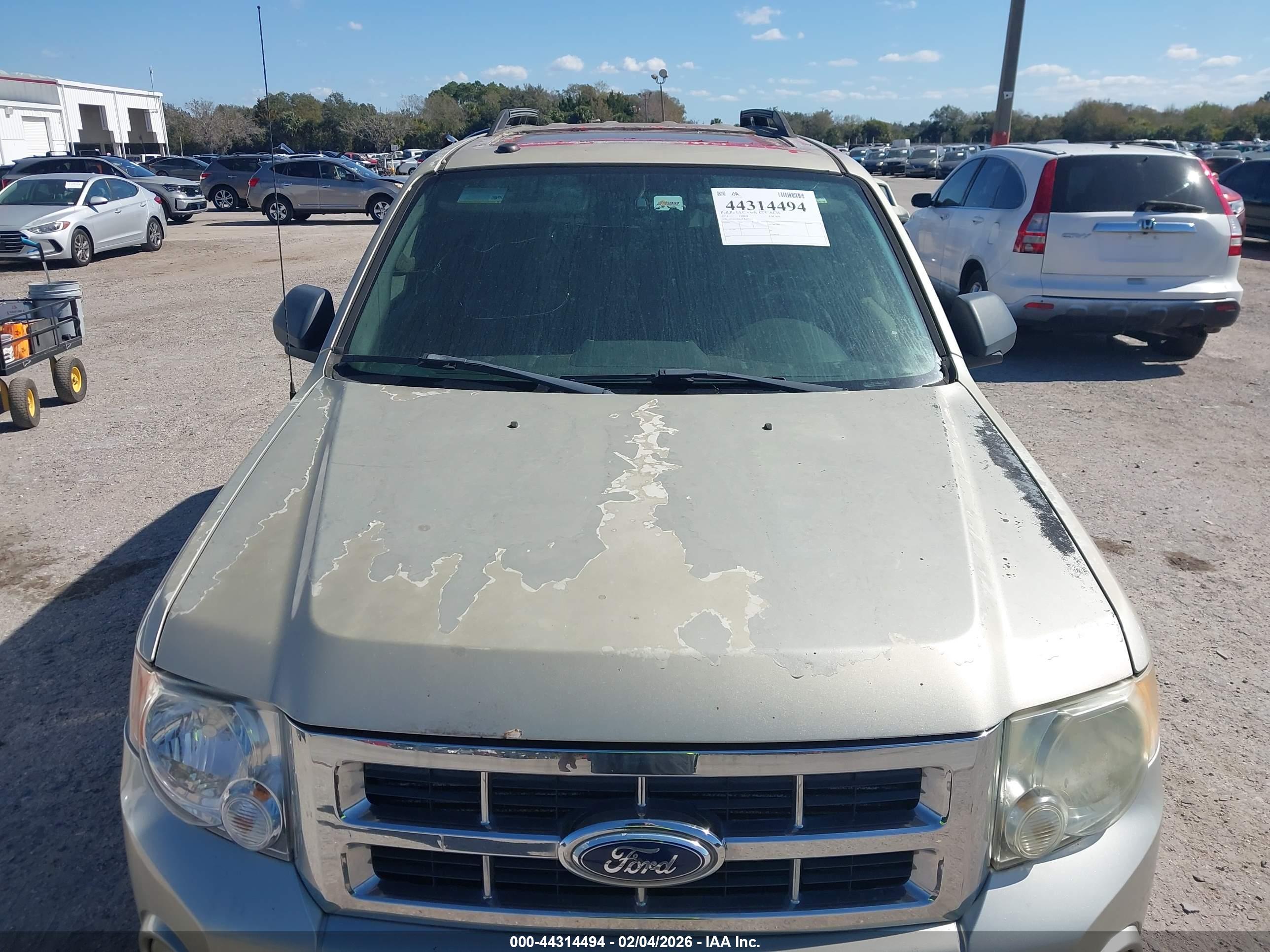 FORD ESCAPE image 6