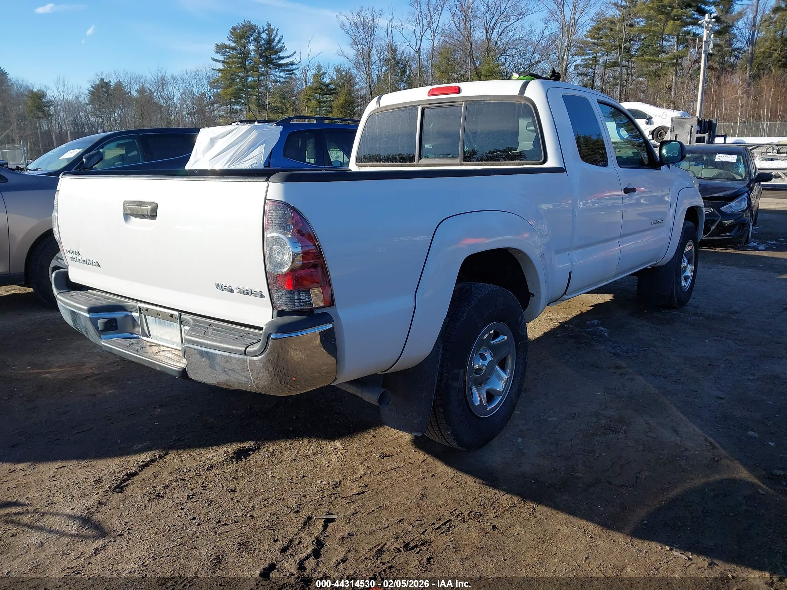 TOYOTA TACOMA image 4
