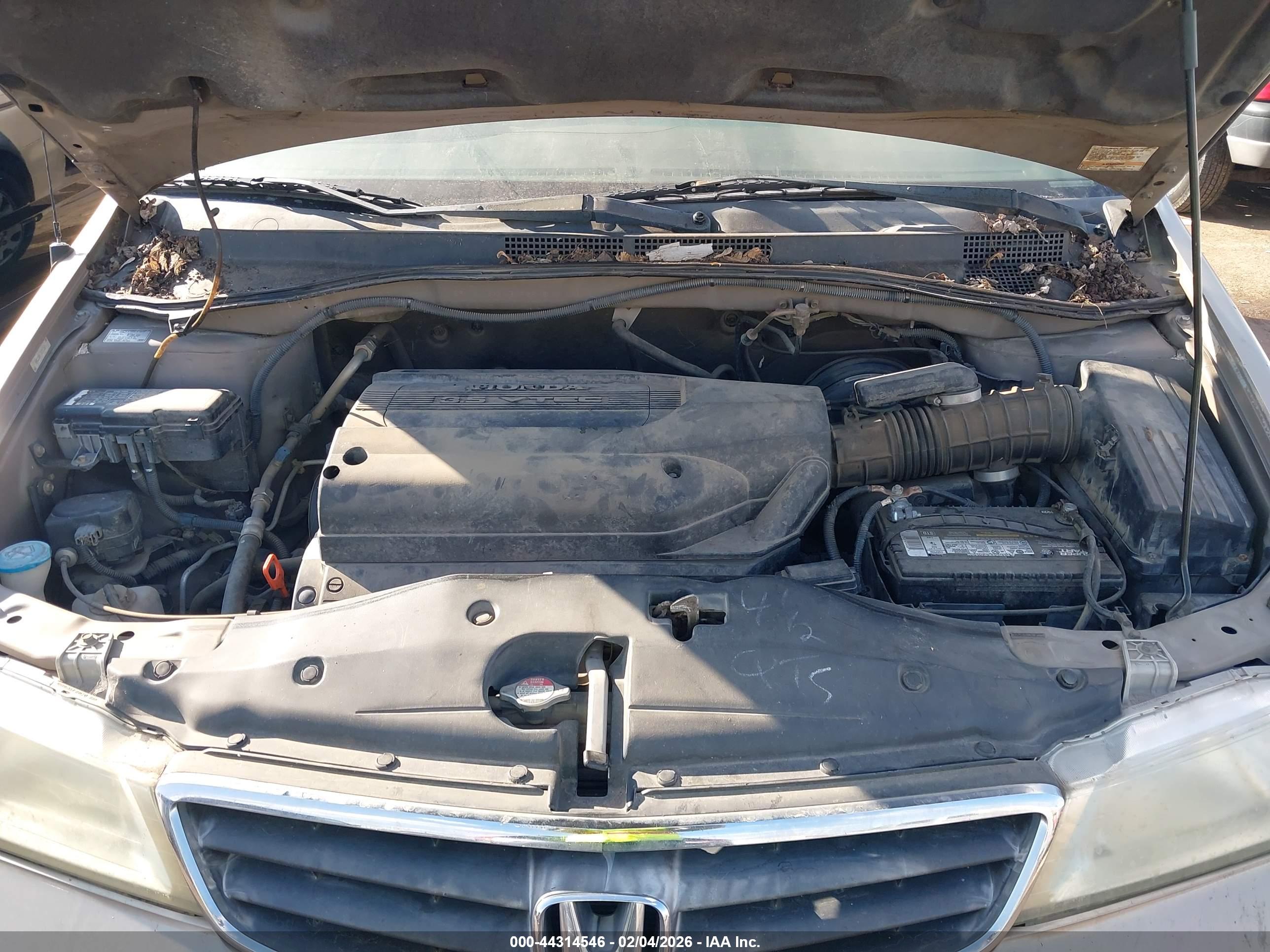HONDA ODYSSEY image 10