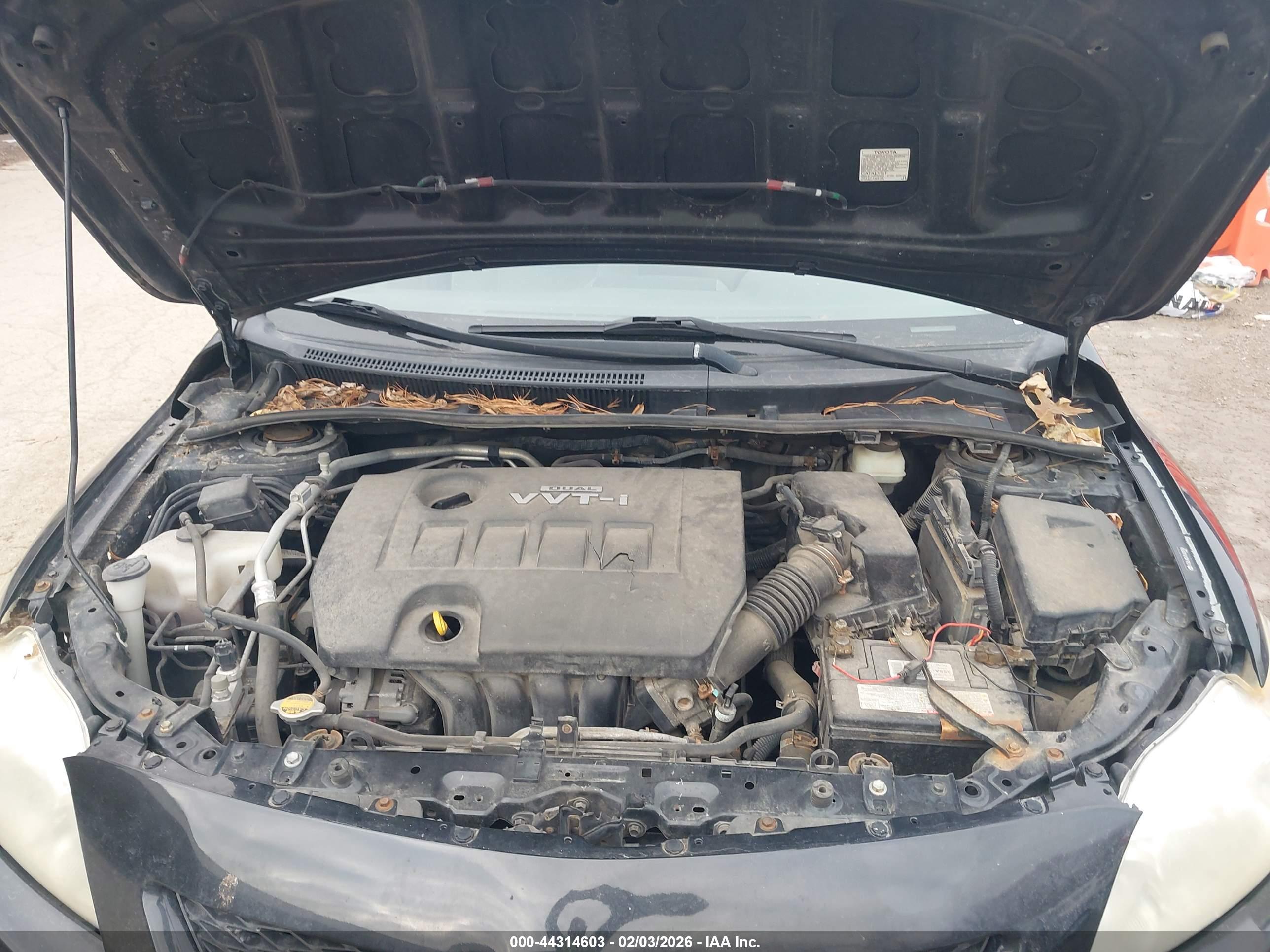 TOYOTA COROLLA image 10
