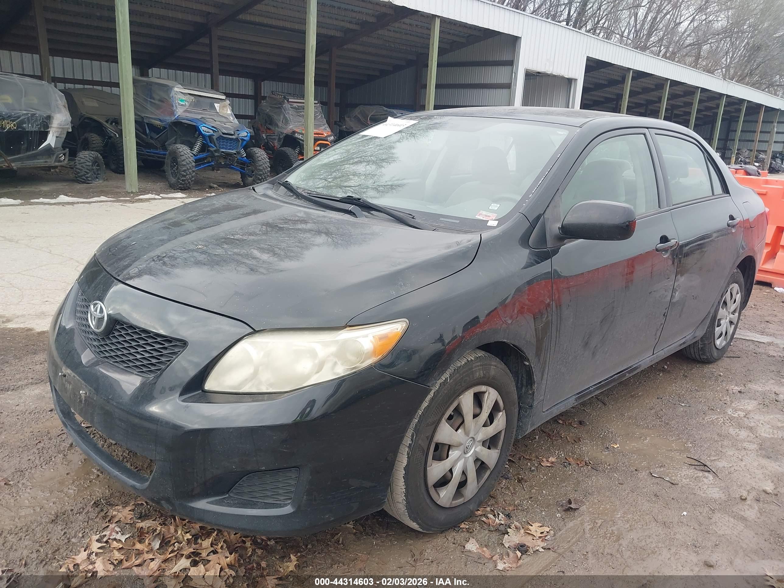 TOYOTA COROLLA image 2