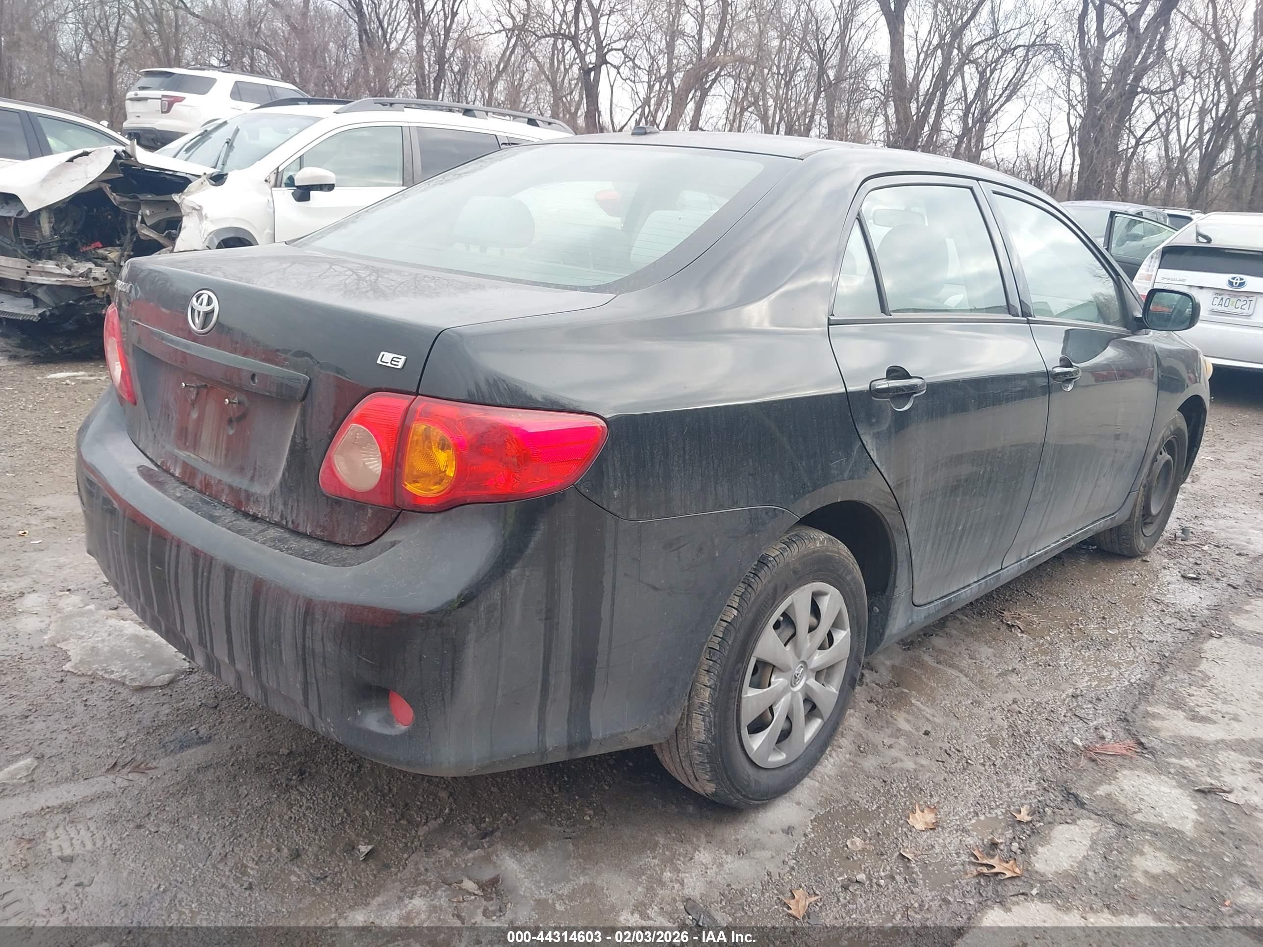 TOYOTA COROLLA image 4