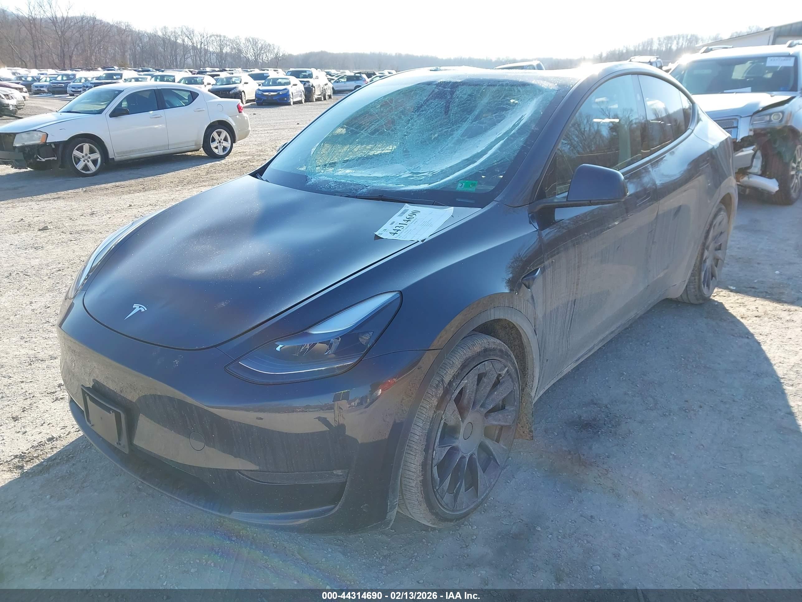 TESLA MODEL image 6