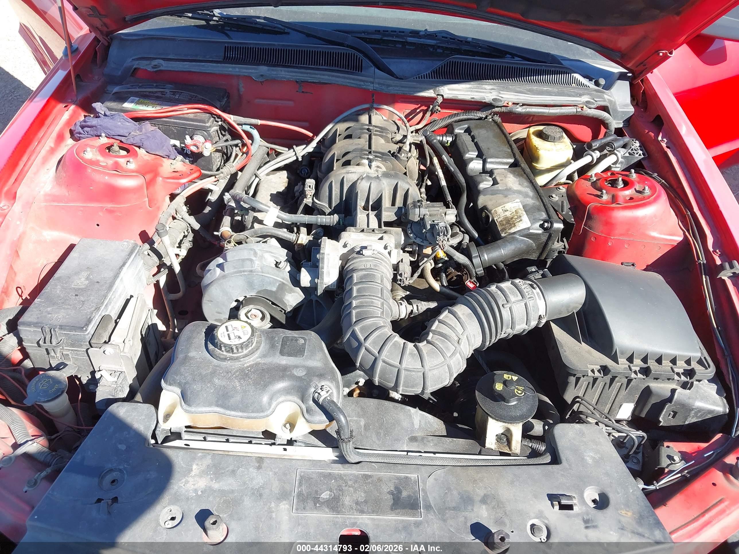 FORD MUSTANG image 10