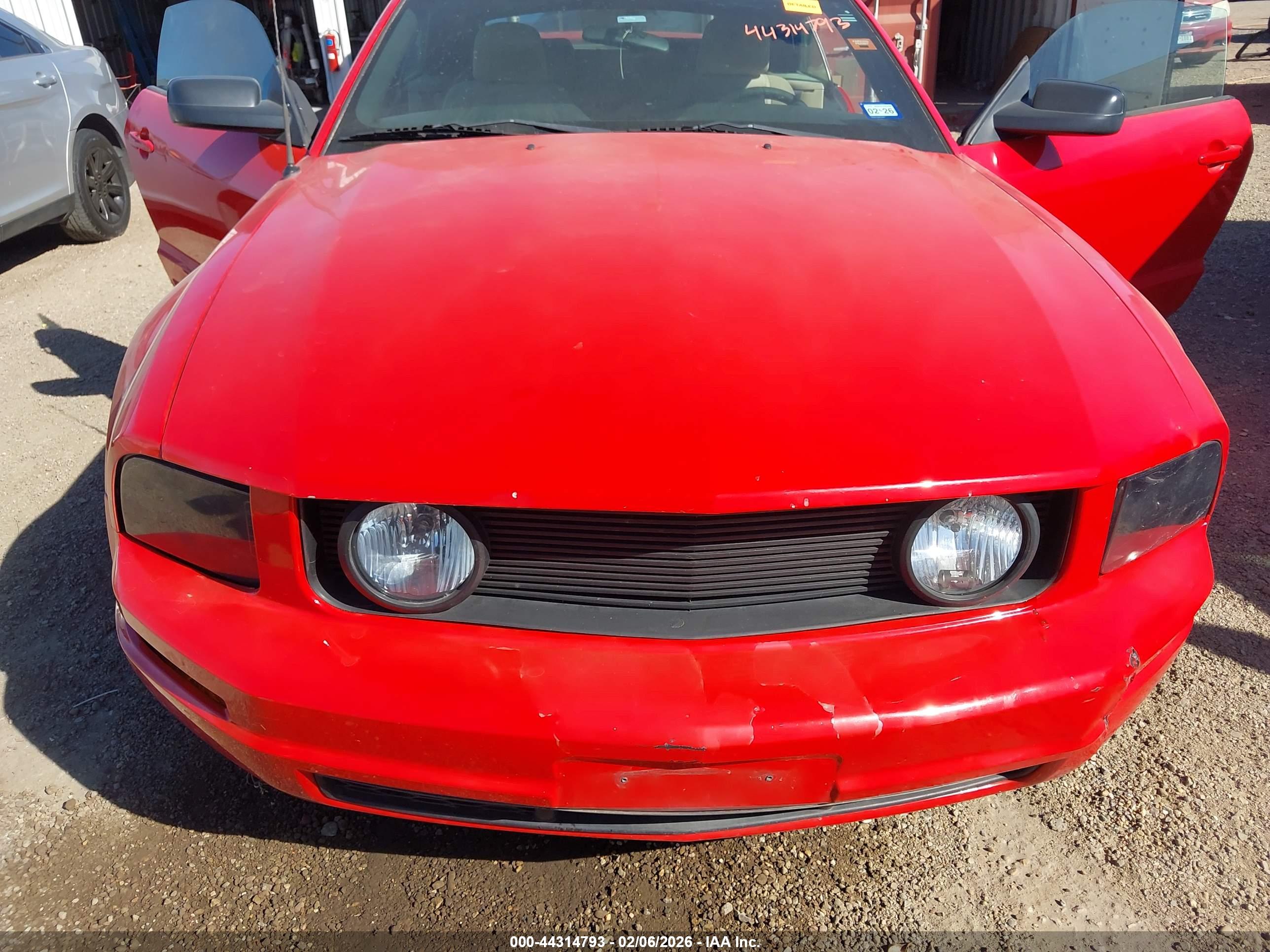 FORD MUSTANG image 6