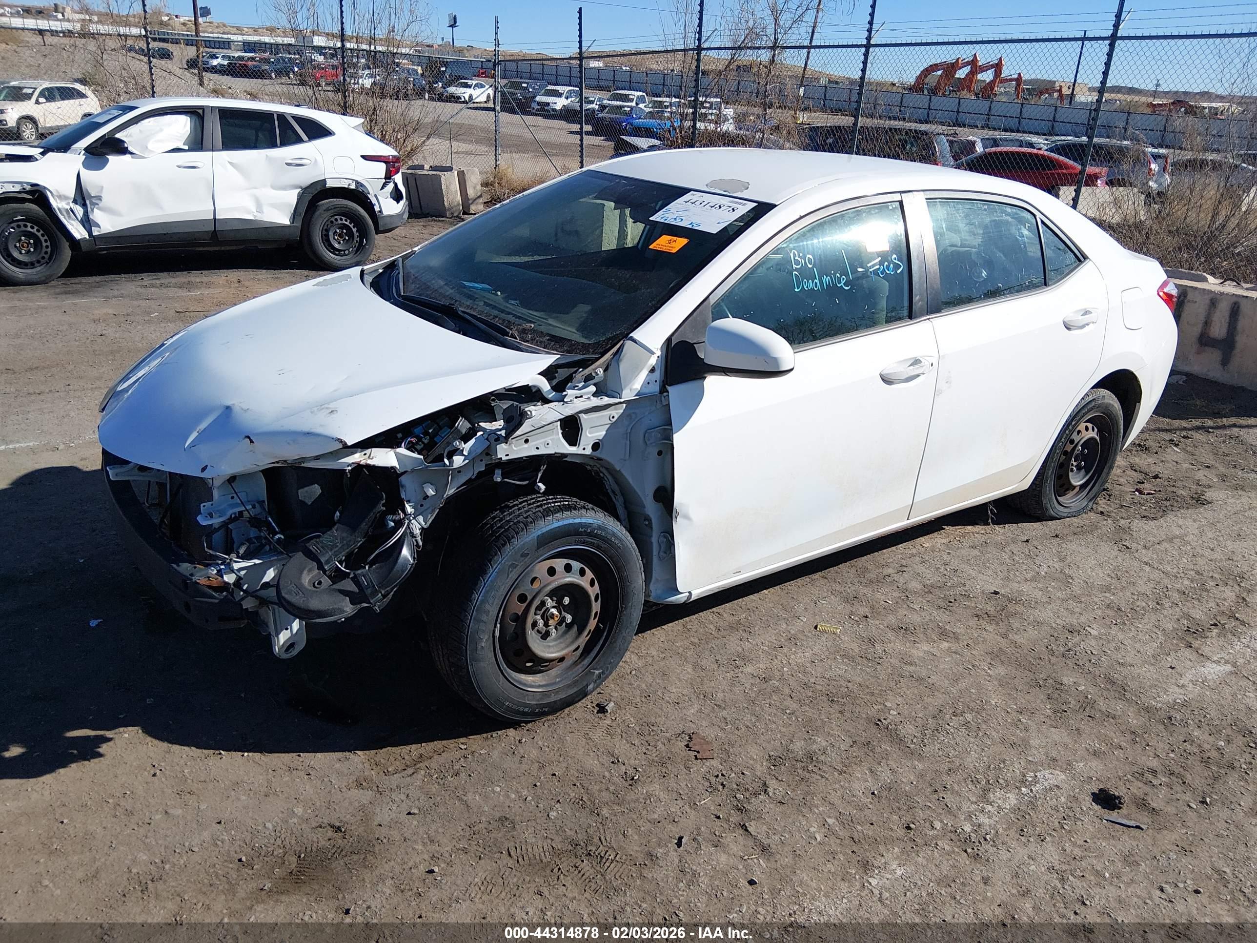TOYOTA COROLLA image 2