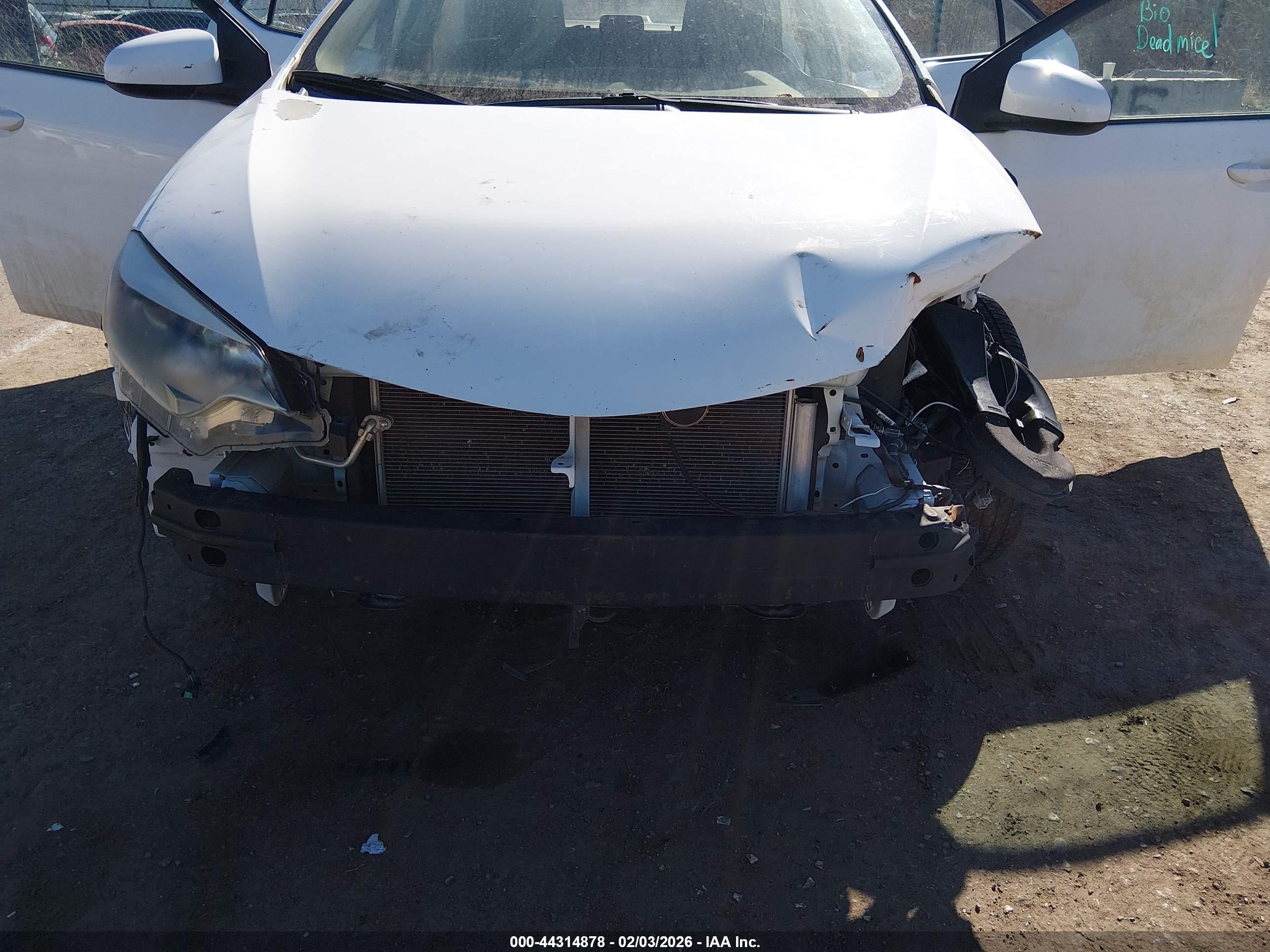 TOYOTA COROLLA image 6