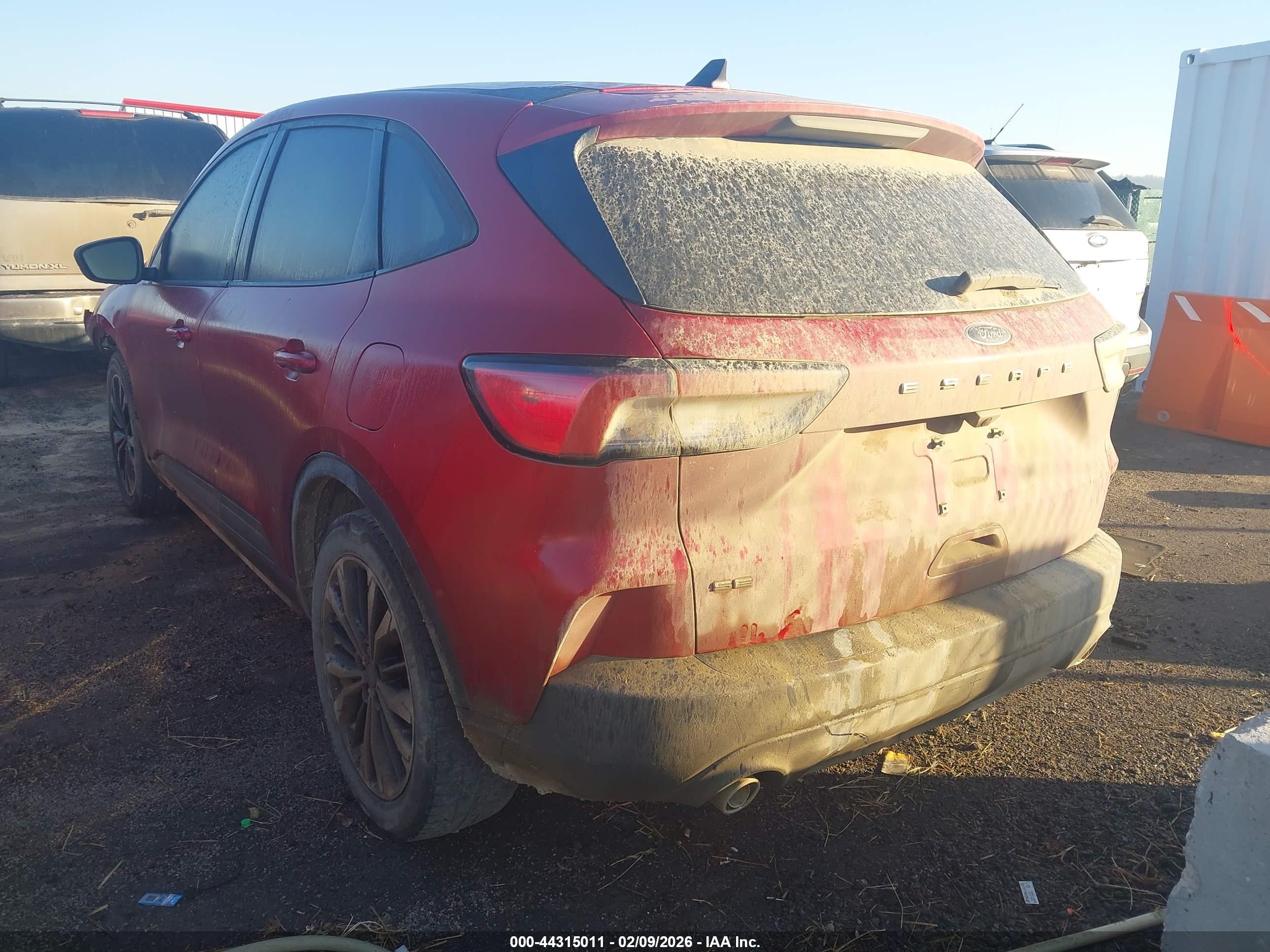 FORD ESCAPE image 3