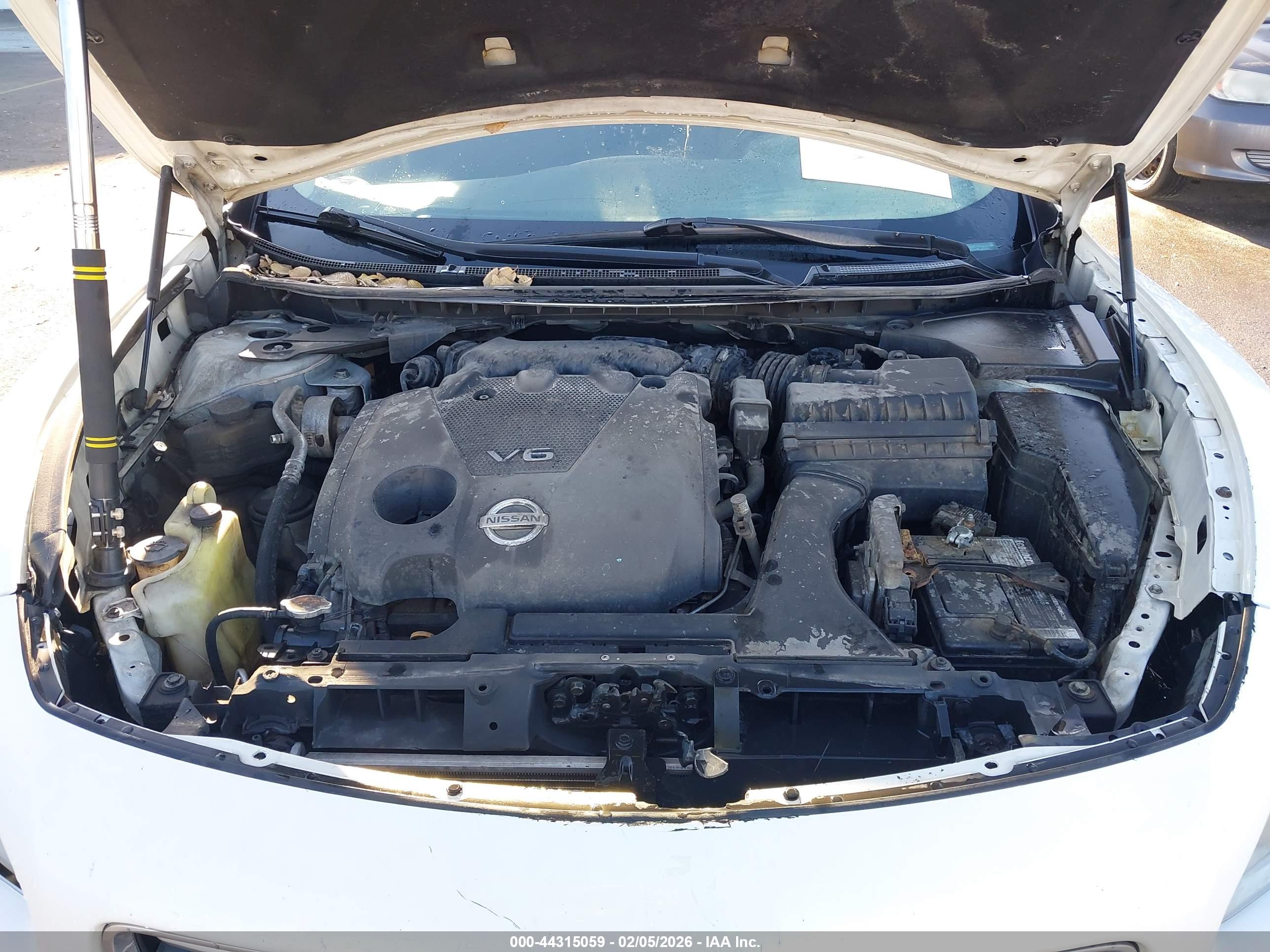 NISSAN MAXIMA image 10