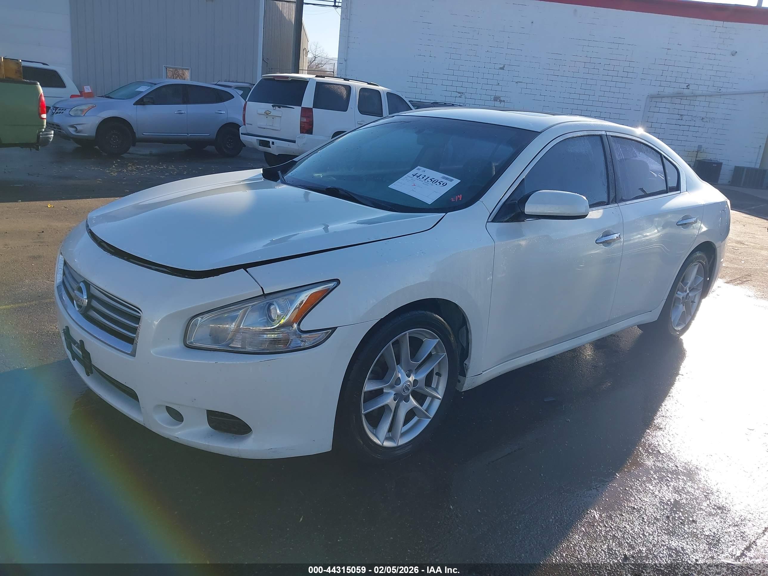 NISSAN MAXIMA image 2