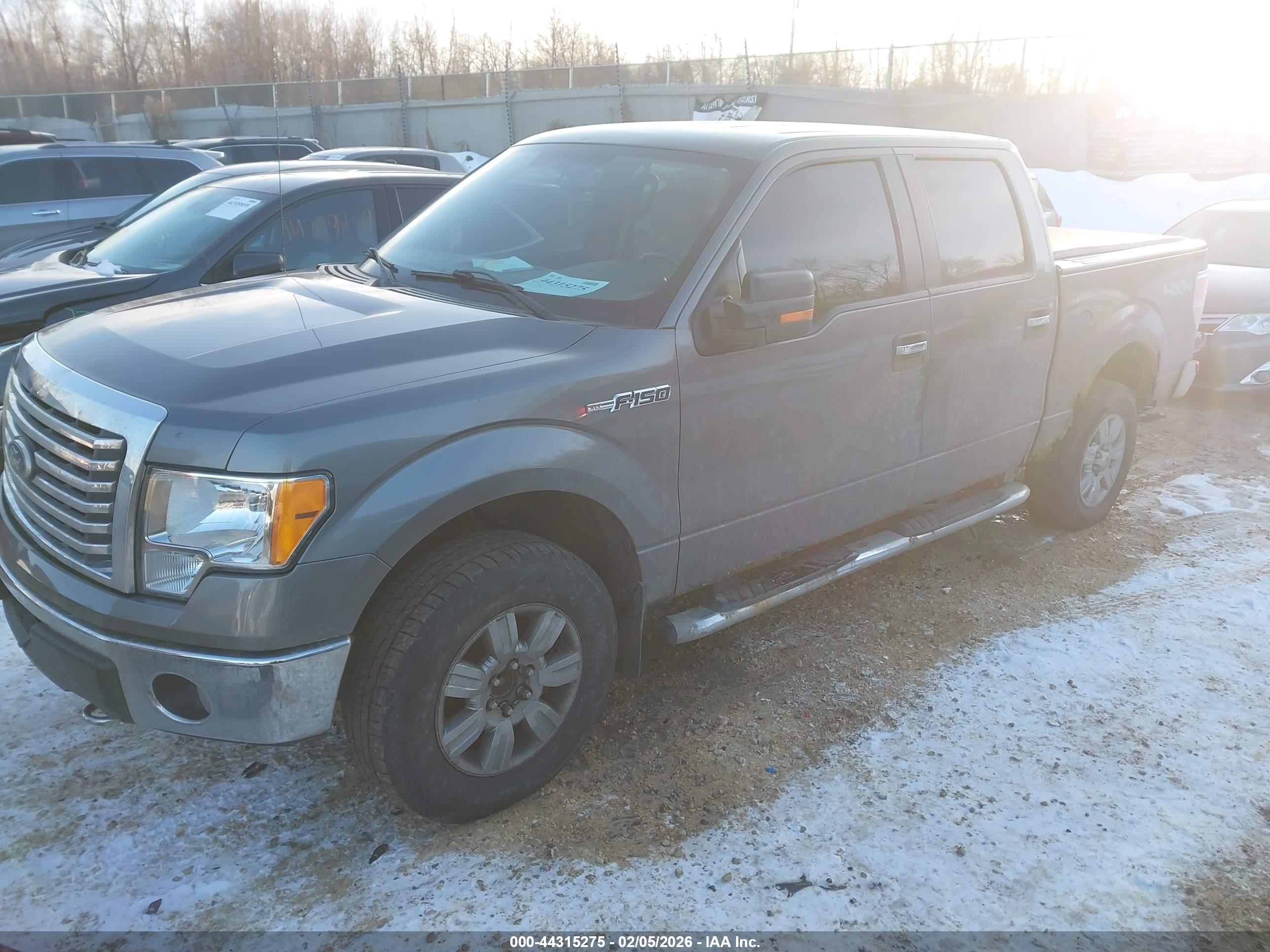 FORD F-150 image 2