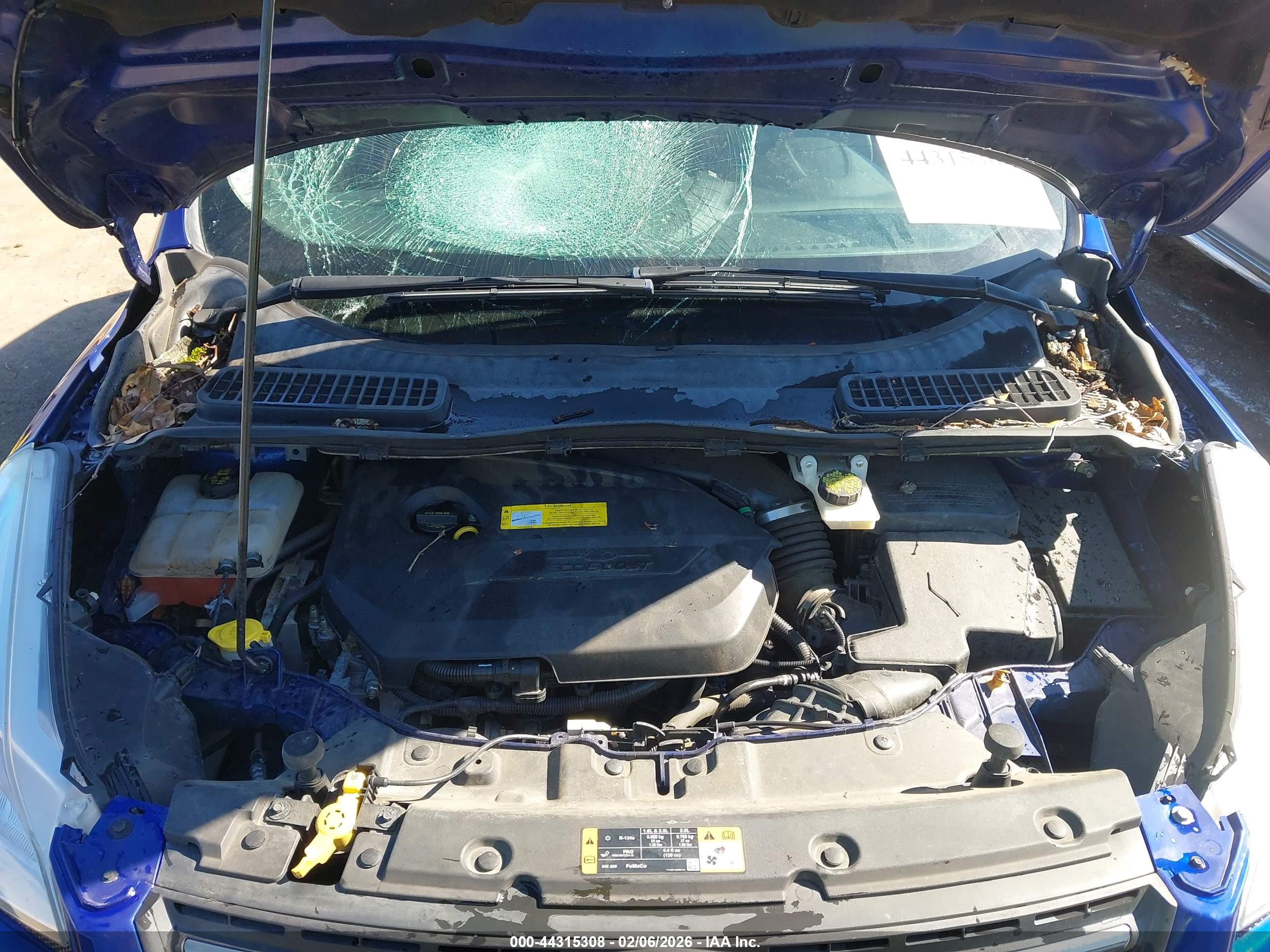 FORD ESCAPE image 10