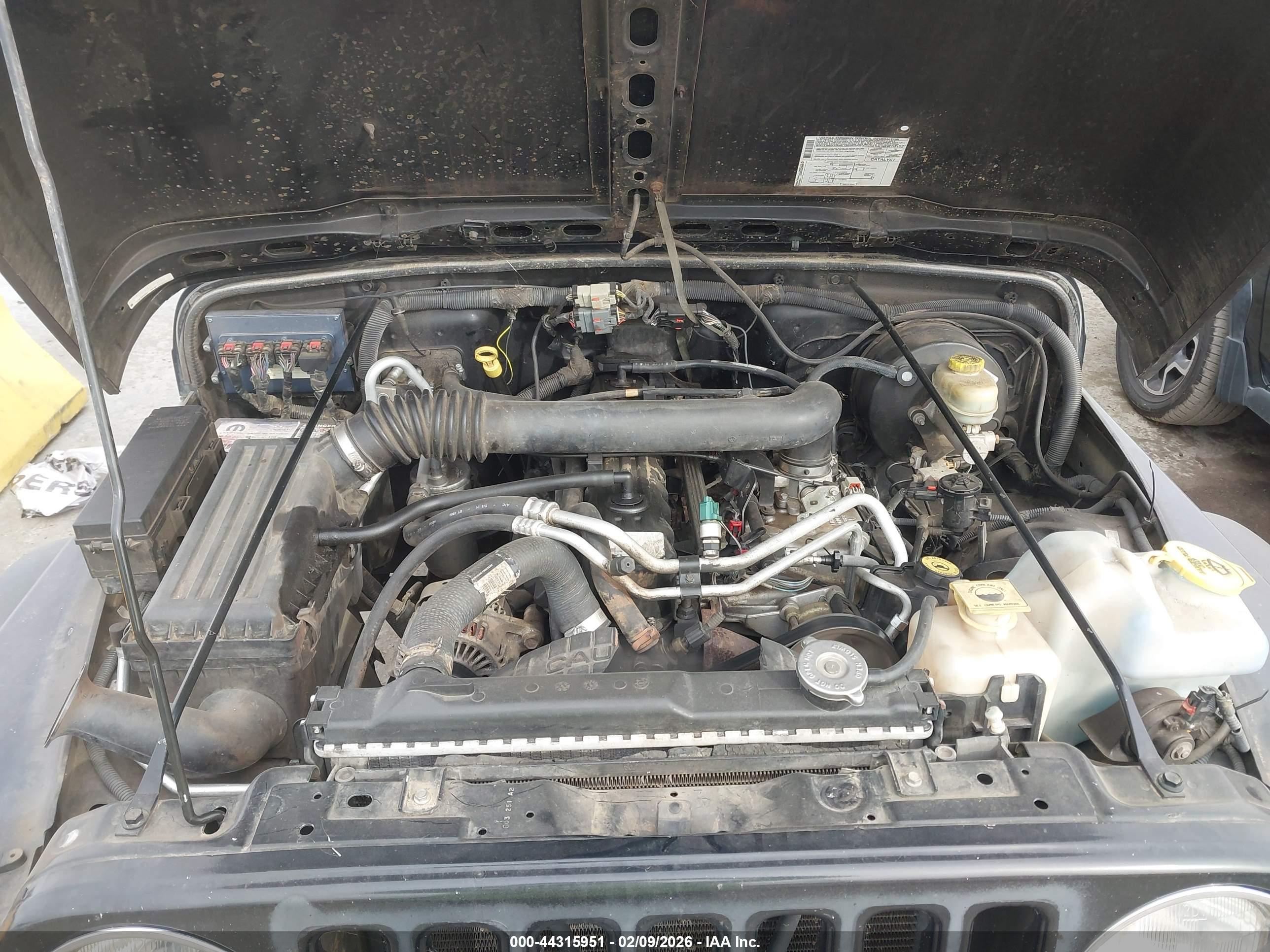 JEEP WRANGLER image 10