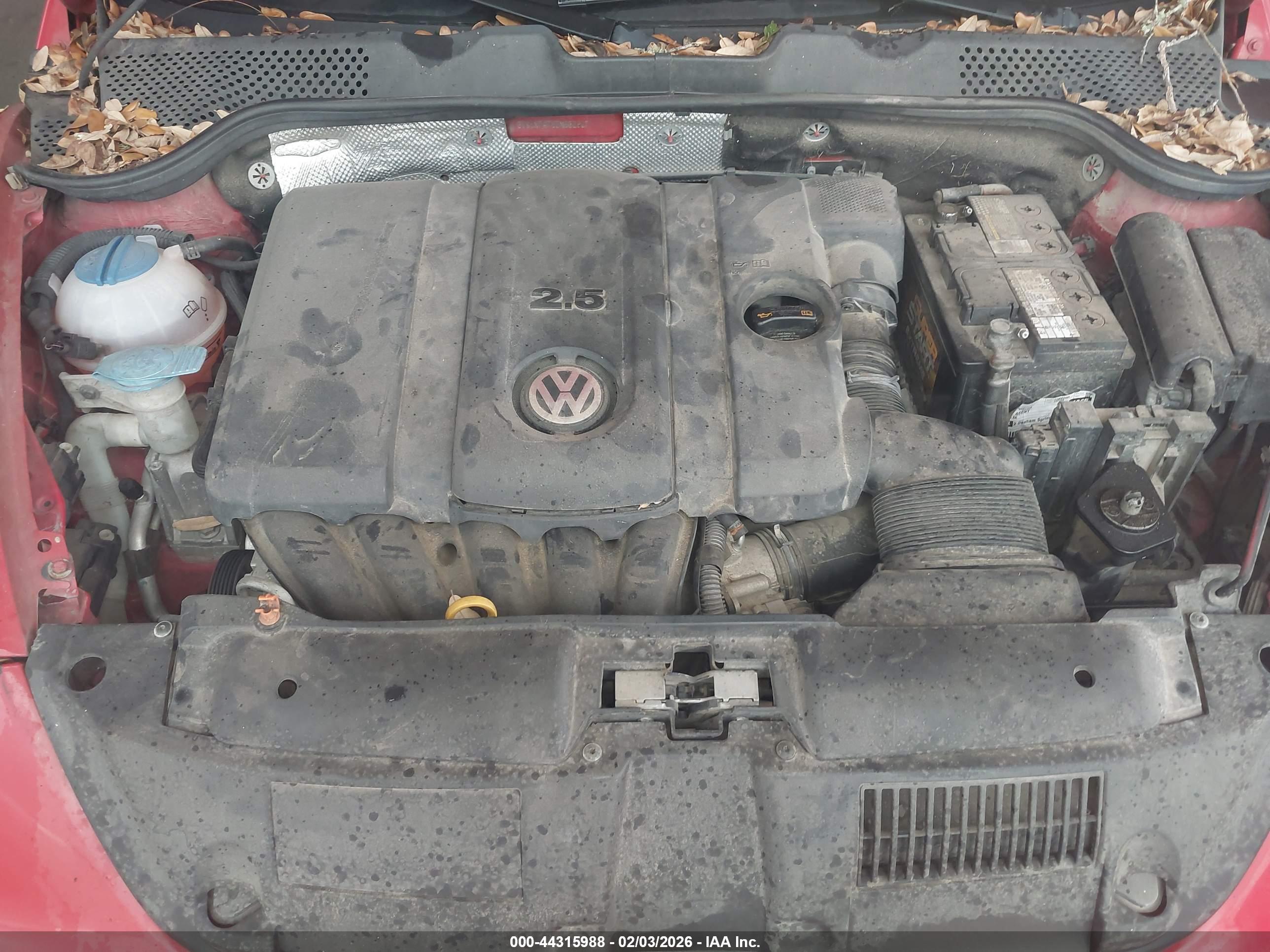VOLKSWAGEN BEETLE image 10