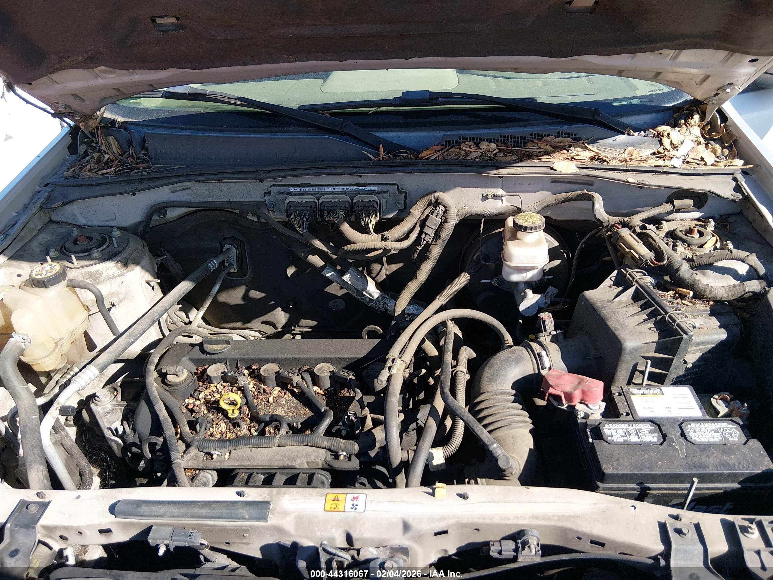 FORD ESCAPE image 10