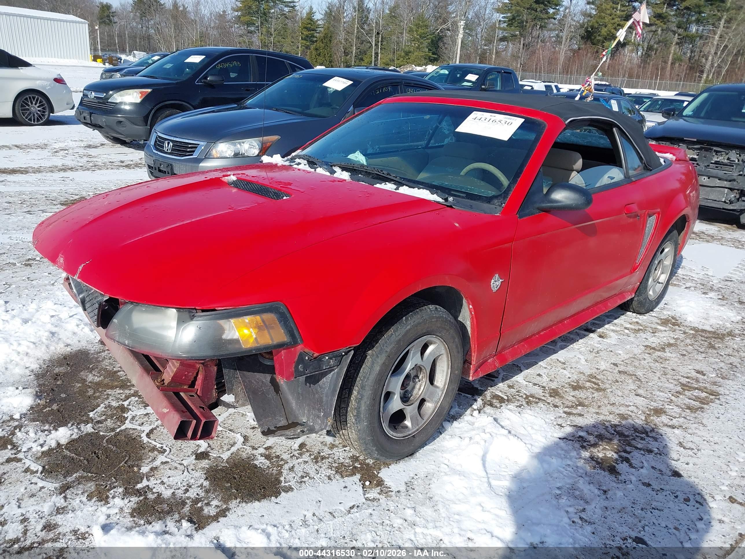 FORD MUSTANG image 2