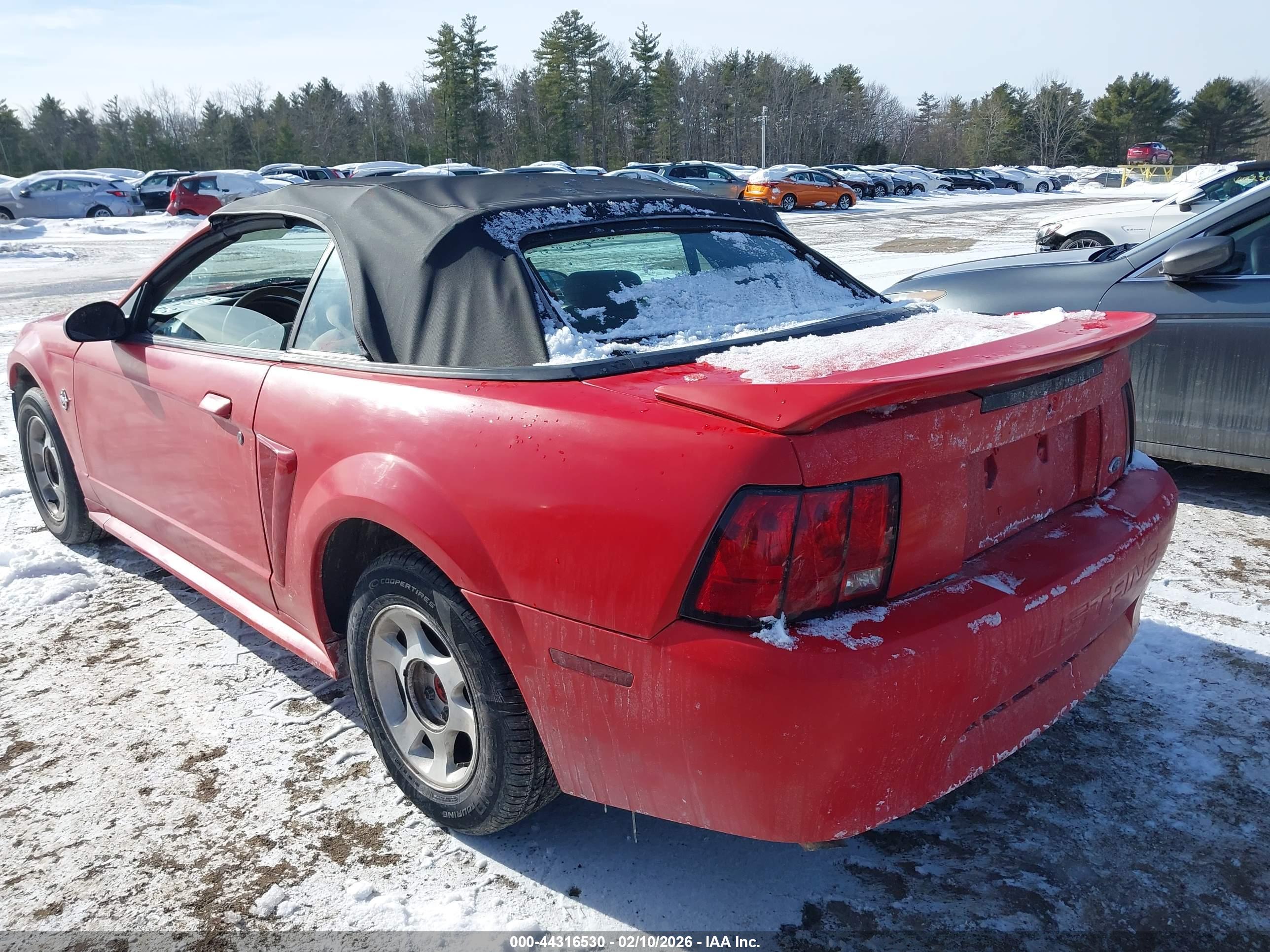 FORD MUSTANG image 3