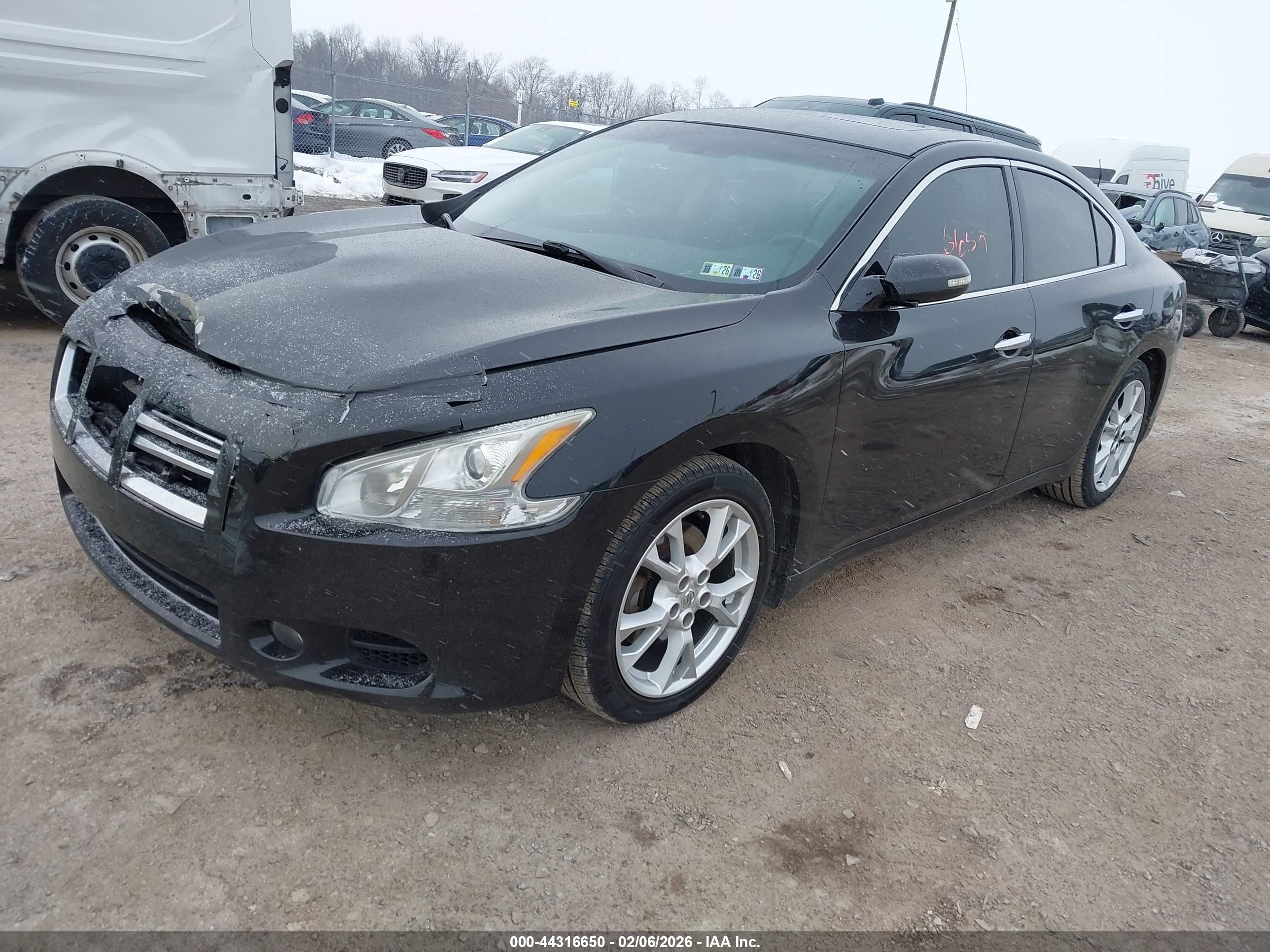 NISSAN MAXIMA image 2