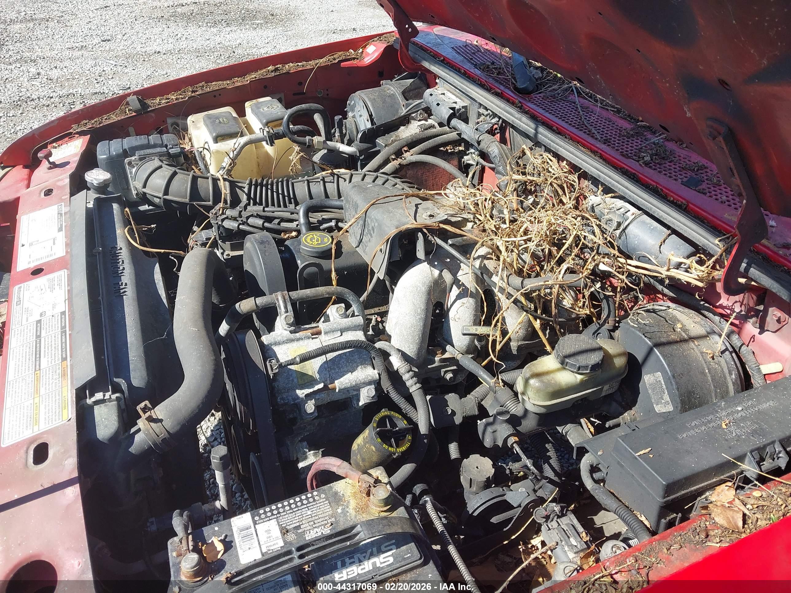 FORD RANGER image 6